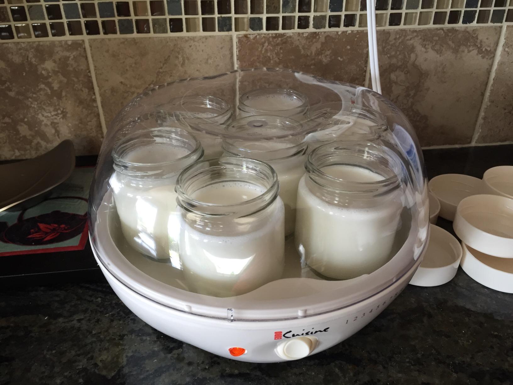 Euro Cuisine YM80 Electric Yogurt Maker Machine- Promote Gut Health with Probiotic Rich Homemade Yogurt -Home Yogurt Incubator with Glass Jars, White customer photo 2