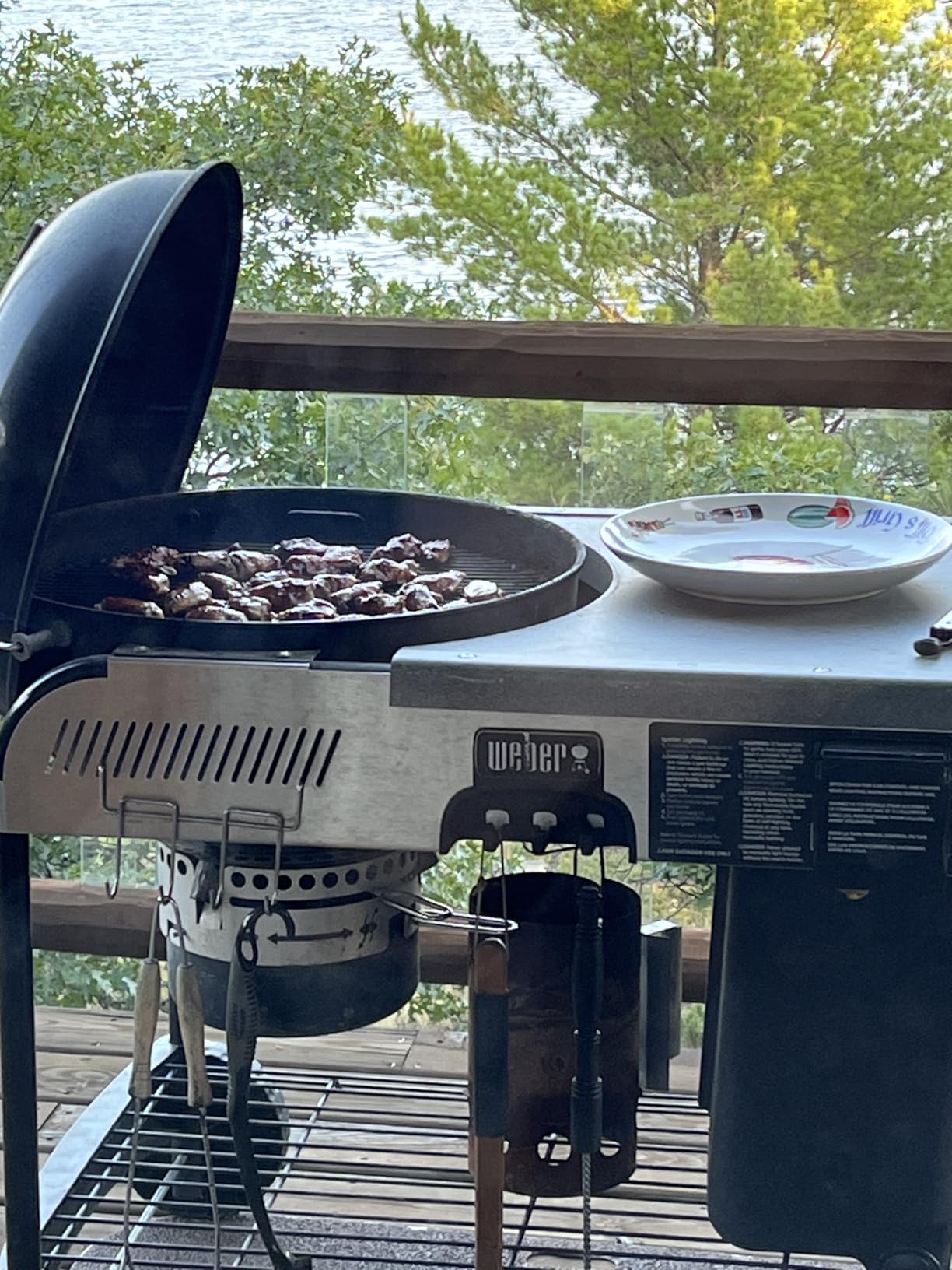 WEBER HINGED COOKING GRATE customer photo 1