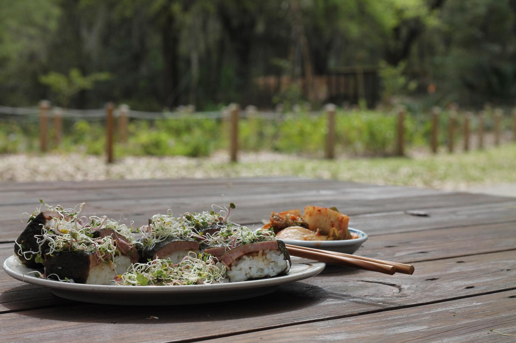 JapanBargain, Wooden Oshizushi Press Mold 8.5