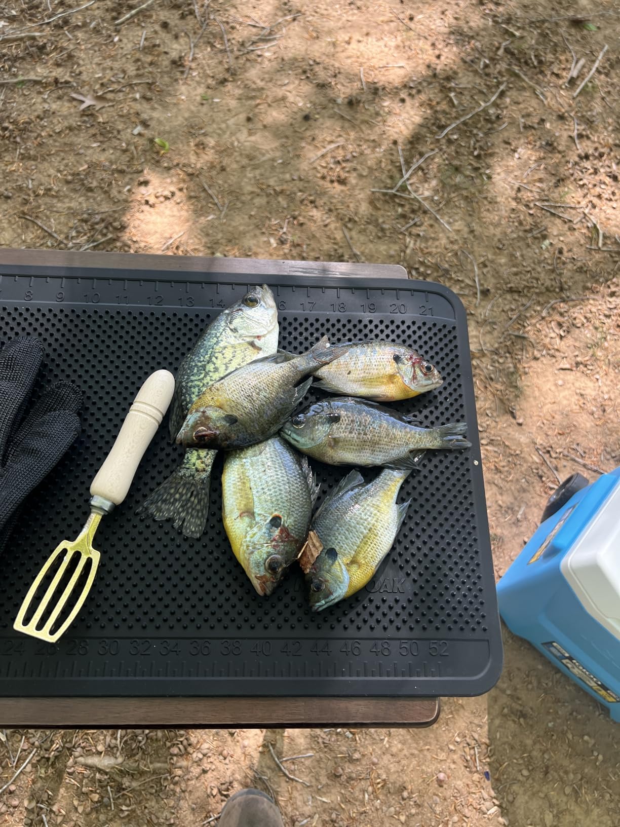 Brass Fish Scaler L customer photo 1