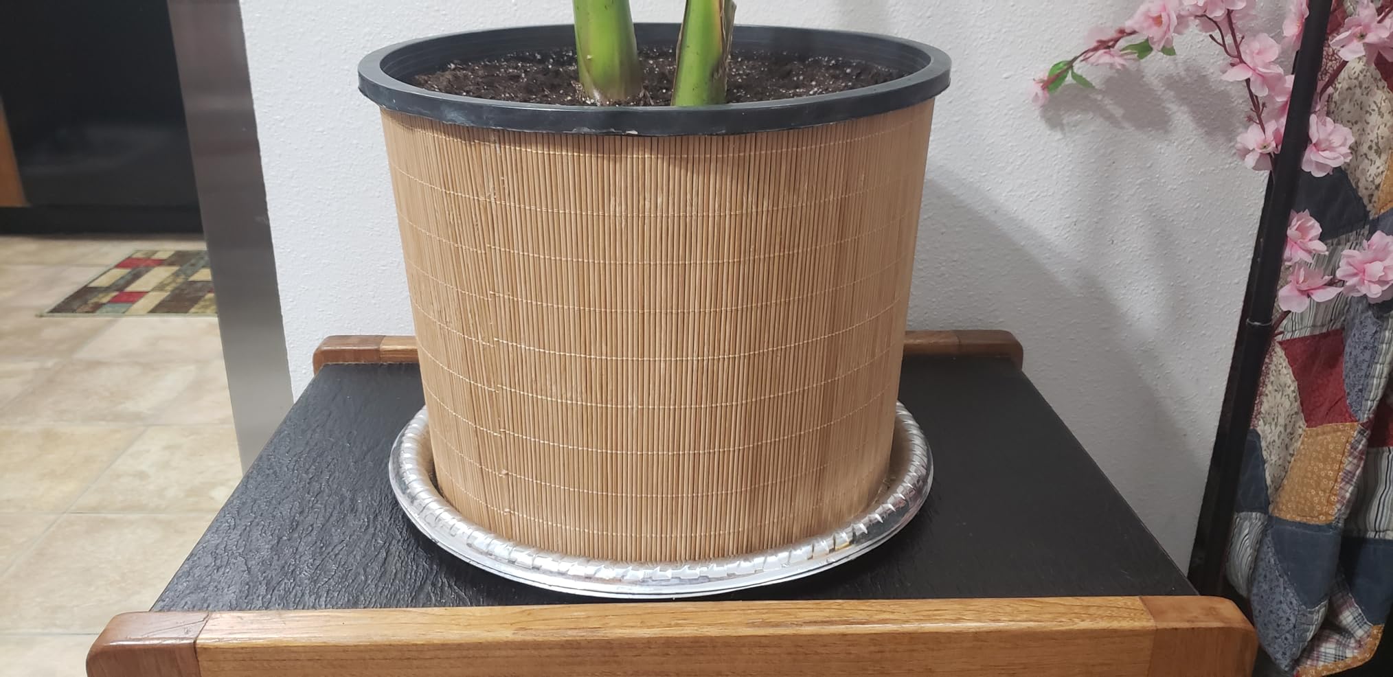 BambooMN Bamboo Placemat/Sushi Rolling Mat - 18