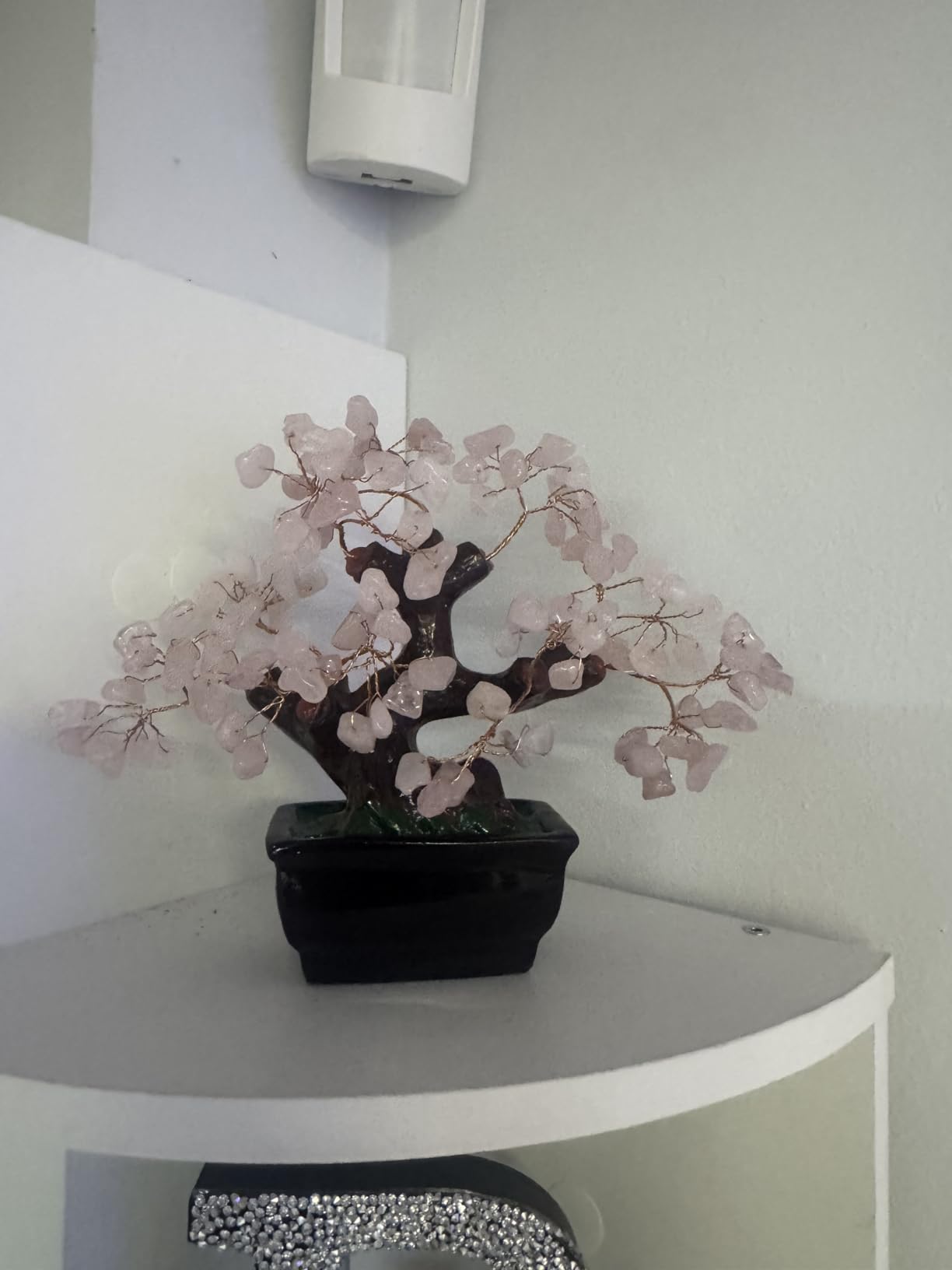 Parma77 Feng Shui Natural Rose Pink Quartz Crystal Money Tree, Healing Crystal Trees Bonsai Style Decoration for Wealth and Luck for Home Decor, Gifts for Women customer photo 2