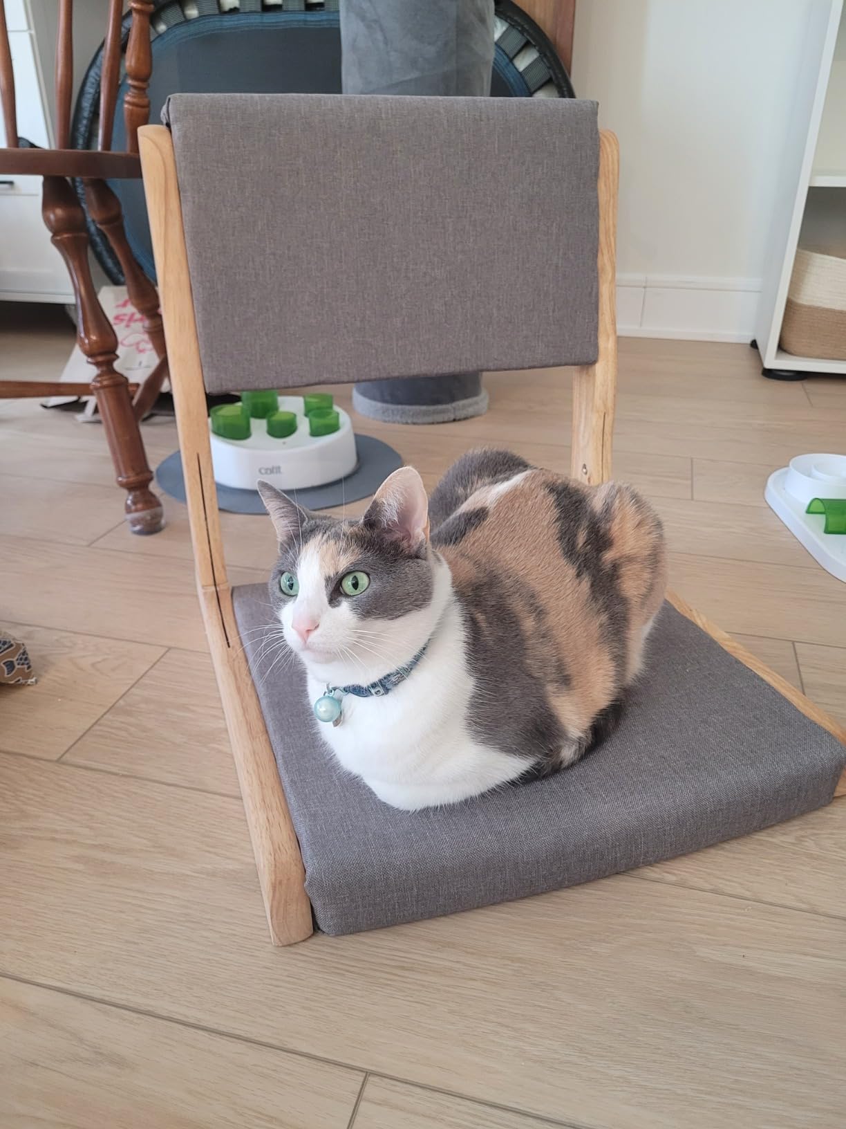 Tatami Chair Accent Furniture,Foldable Meditation Floor Chair, Living Room Chair Floor Seat, Portable Japanese Legless Chair,Lazy Sofa for Bay Window Meditation Reading (Grey Fabric) customer photo 2