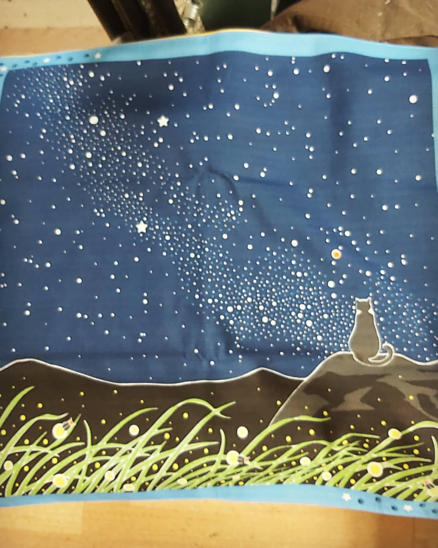 Tamanoosanpo Japanese Wrapping Cloth (Furoshiki) - 19 x 19 inches - Cat: Milky Way Galaxy - Back To School customer photo 2