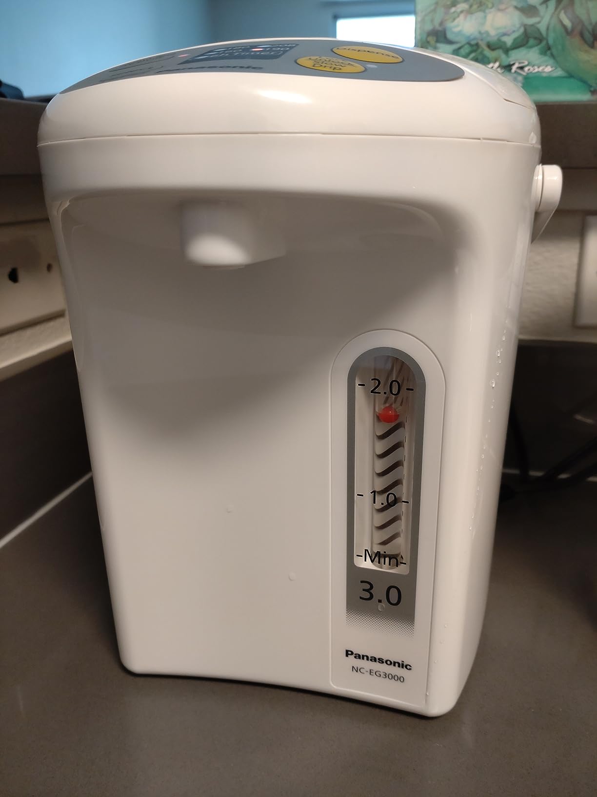 Panasonic 3L Water Boiler Electric Hot Water Dispenser Countertop w/Slow-Drip Mode for Coffee & Tea, 4 Temp Presets, Charcoal-Purified Stainless, Auto Shut-Off, Timer & Safety Lock - NC-EG3000 customer photo 1
