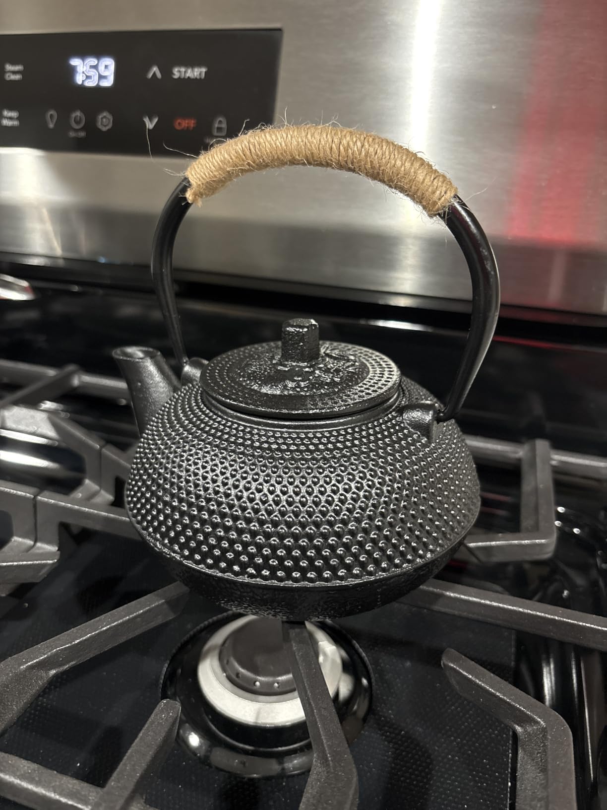 suyika Japanese Tetsubin Cast Iron Teapot Tea Kettle pot with Stainless Steel Infuser for Stovetop Safe Coated with Enameled Interior 22 oz/650 ml customer photo 2