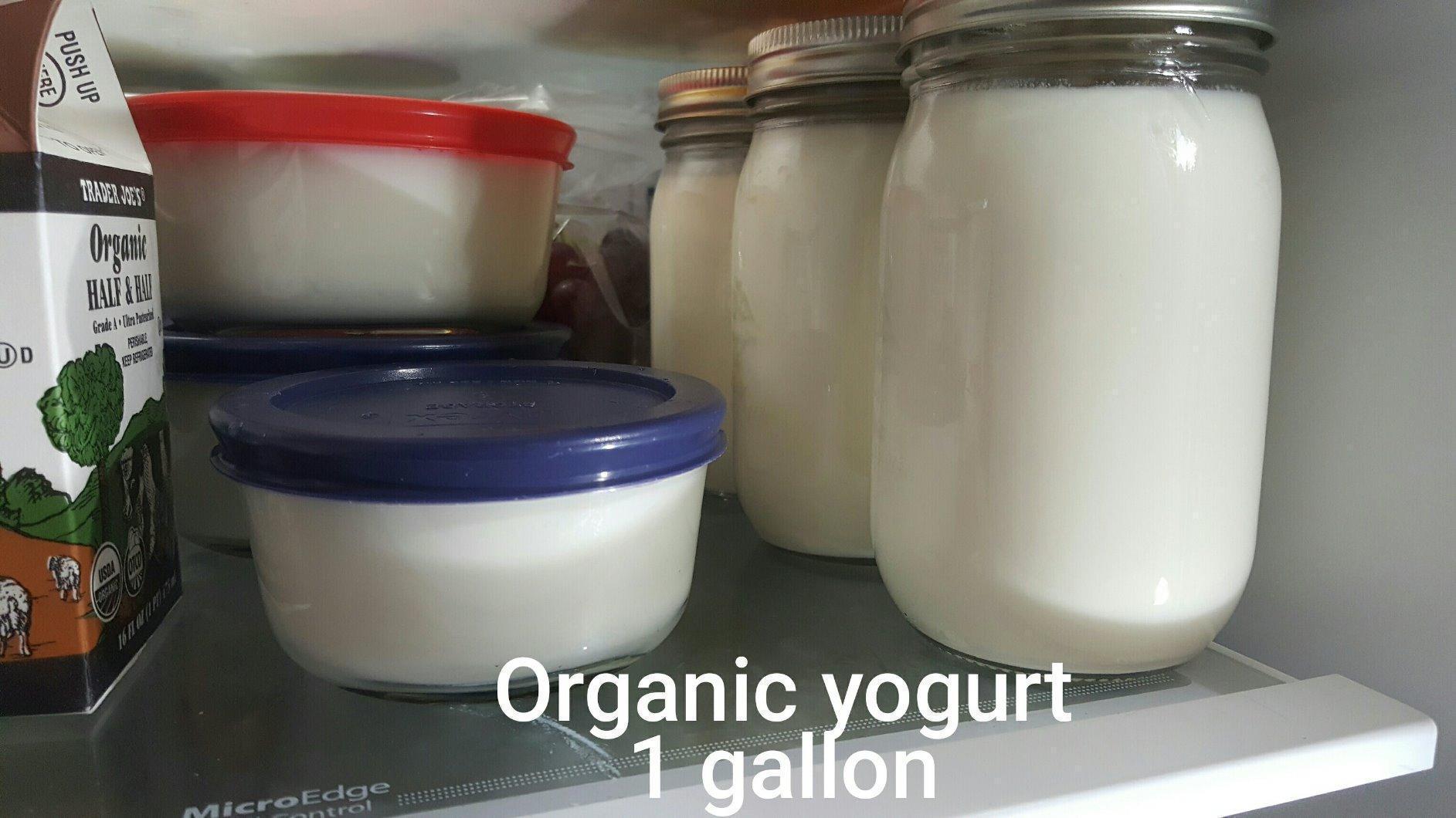 Duo 7-in-1 Mini Electric Pressure Cooker, Slow Rice Cooker, Steamer, Saute, Yogurt Maker, Warmer & Sterilizer, Includes Free App with over 1900 Recipes, Stainless Steel, 3 Quart customer photo 1