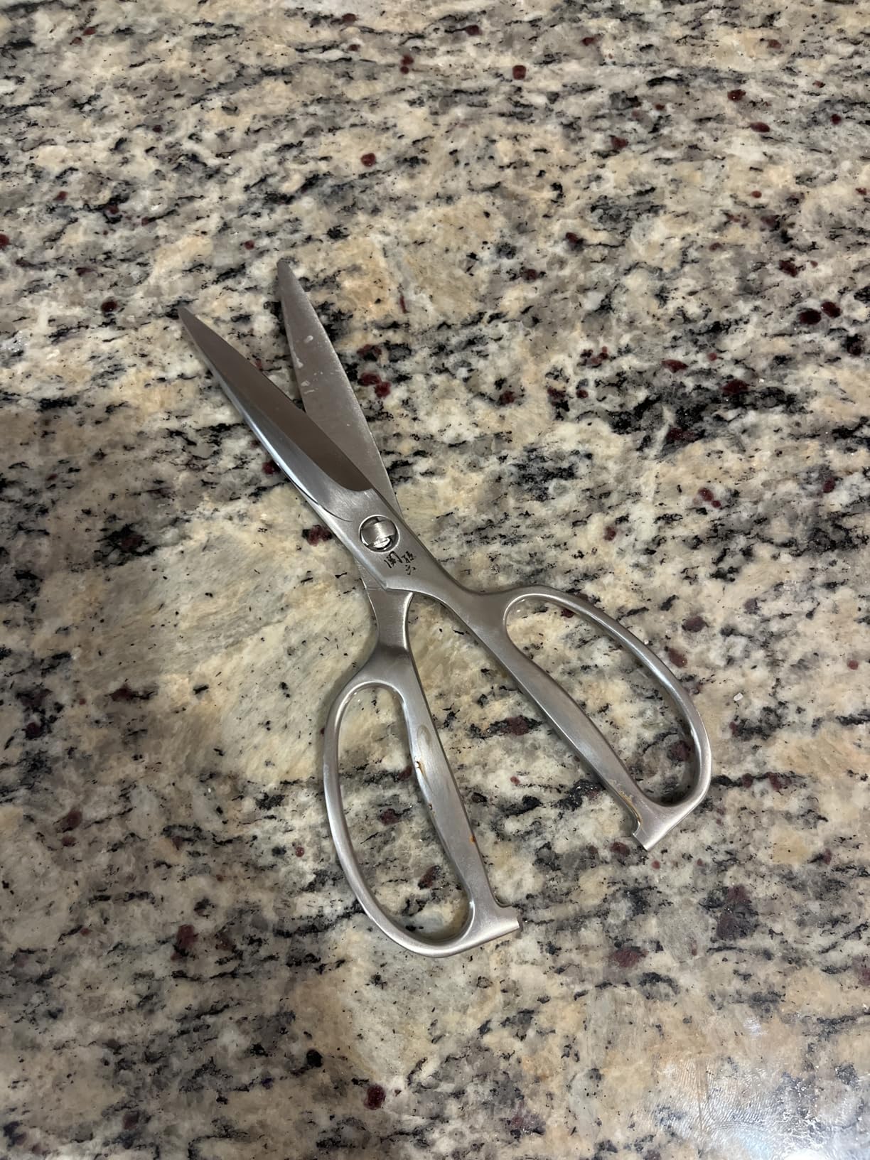 Kai Corporation DH3345 Seki Magoroku Kitchen Scissors, Disassembly, Forged, All Stainless Steel, Kitchen Tool, Made in Japan customer photo 1