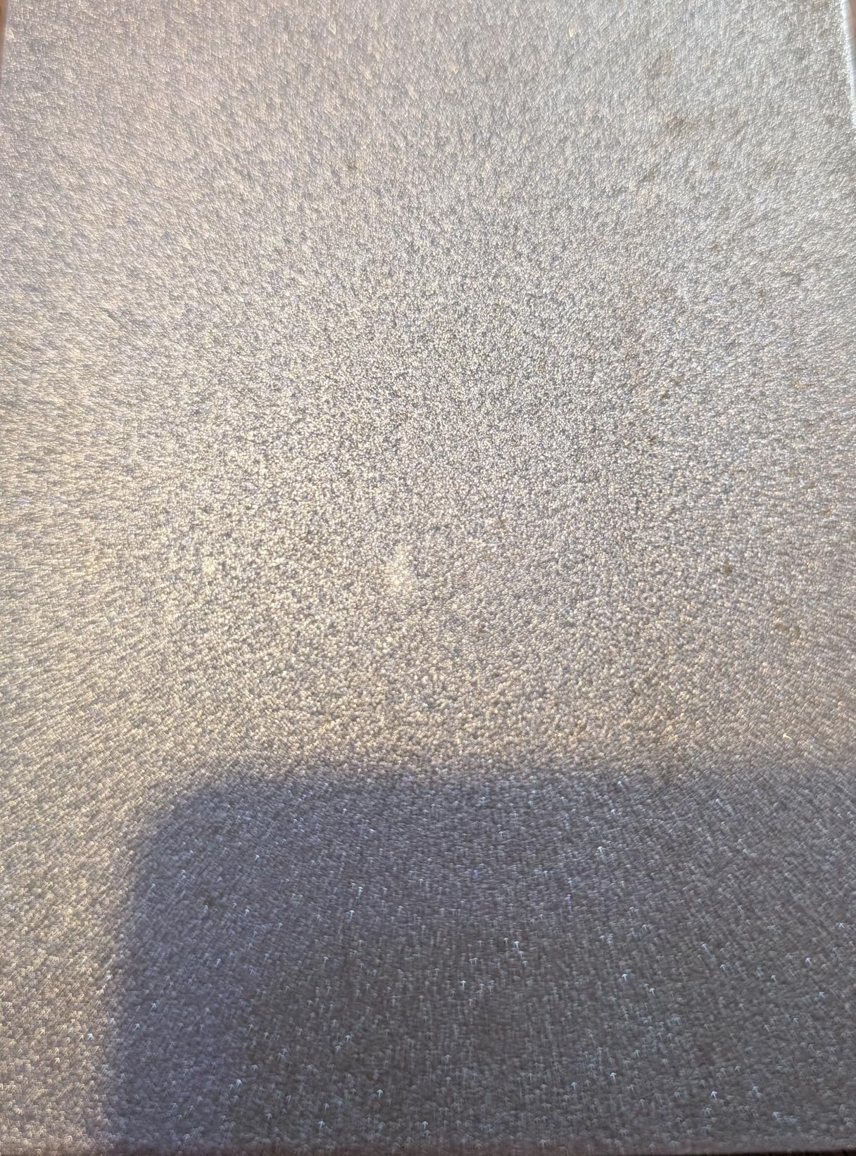 SHARPAL 162N Double-sided Diamond Sharpening Stone Whetstone Knife Sharpener | Coarse 325 / Extra Fine 1200 Grit | Storage Case with NonSlip Base & Angle Guide (8 in. x 3 in.) customer photo 1