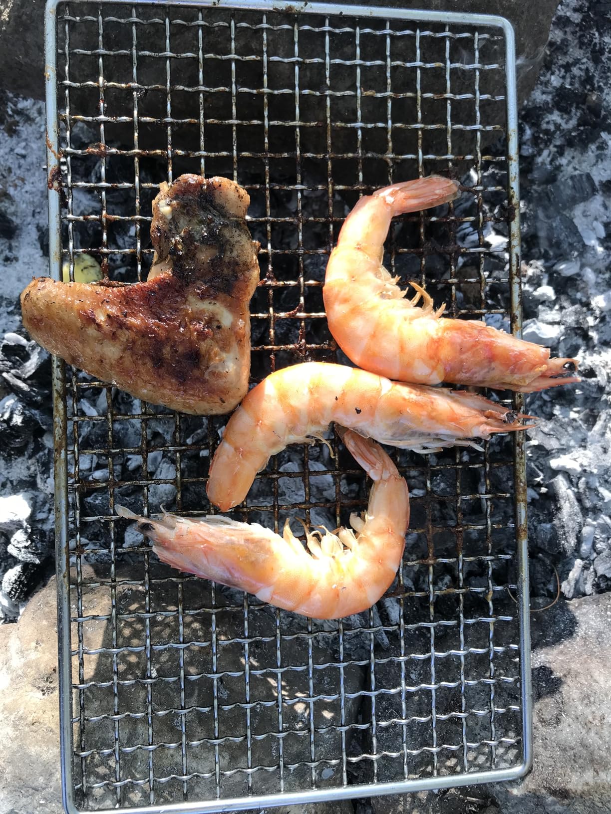 DZRZVD-The Bushcraft Backpacker's Grill Grate - Welded Stainless Steel Mesh (Camping Fire Rated) customer photo 1