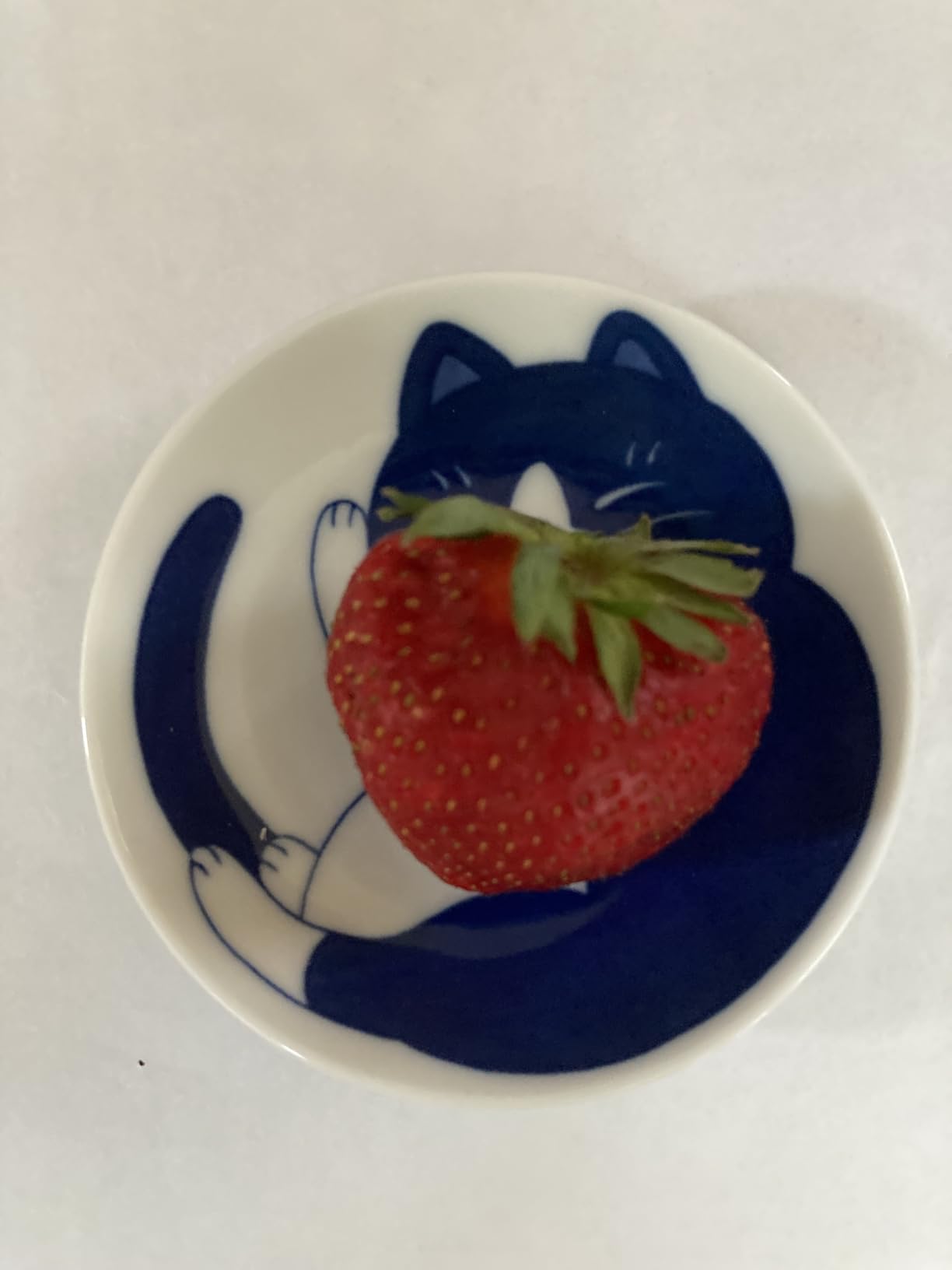 MINO WARE Japanese Small Plate Set Ceramic Cute Cats Design Appetizer Dessert Sushi Sauce Dishes, 3.94 x 0.8 Inches, Set of 4 customer photo 2