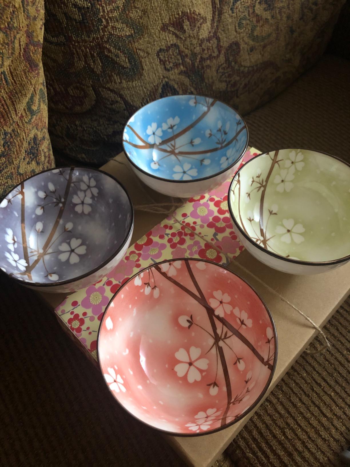 Mose Cafolo Set of 4, Japanese Style Ceramic Rice Bowl Assorted Designs and Color with Phum Flowers Underglazed Dinnerware Ideal For Dessert Snack Cereal Soup in Gift Box customer photo 2