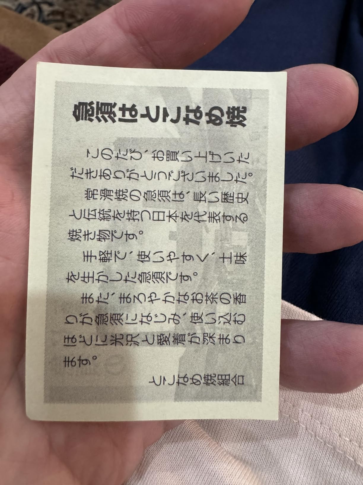 Japanese Large Kyusu Tokoname Handmade Clay Teapot 15.6 Fluid Ounces Shunjuu Scarlet Crest Pattern Black L339 from Japan customer photo 1