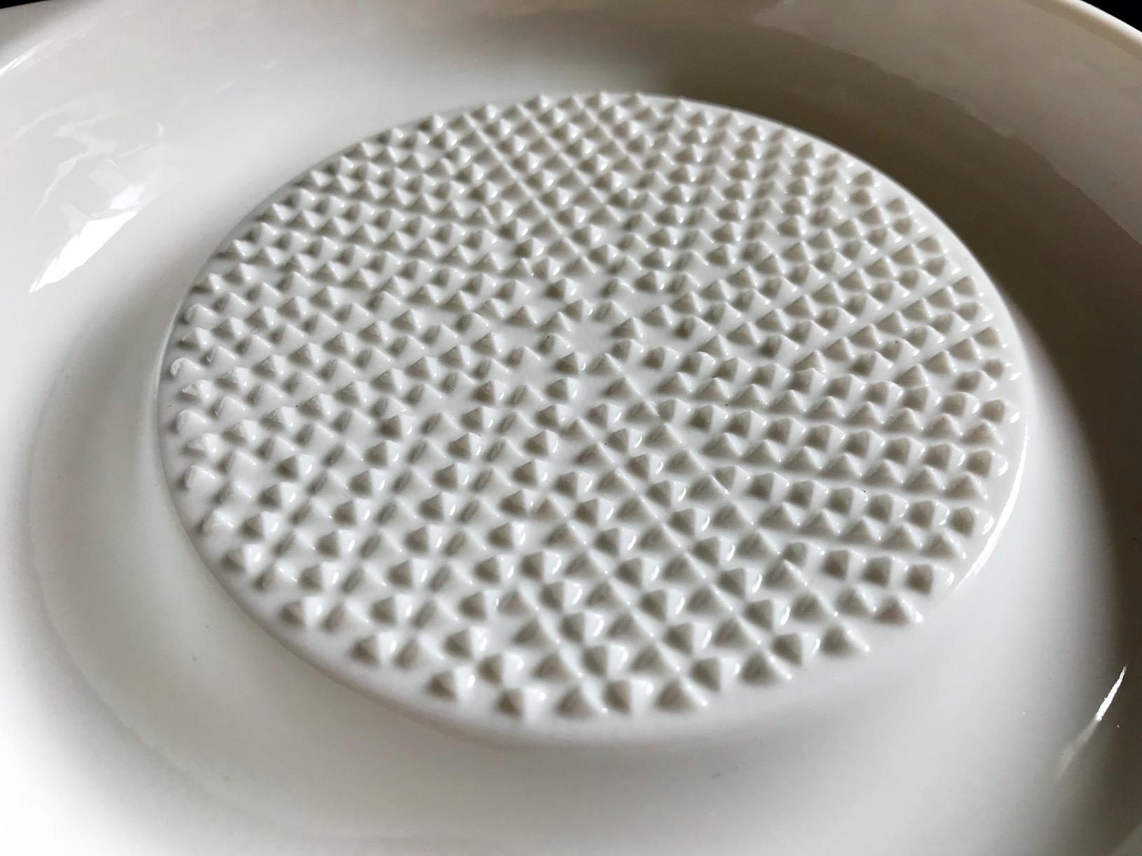 ONTUBE Ceramics Grater Plate for Ginger, Garlic, Onion, Cheese, Lemon, Chocolate, Vegetables and Fruits for Kitchen, White (5.5