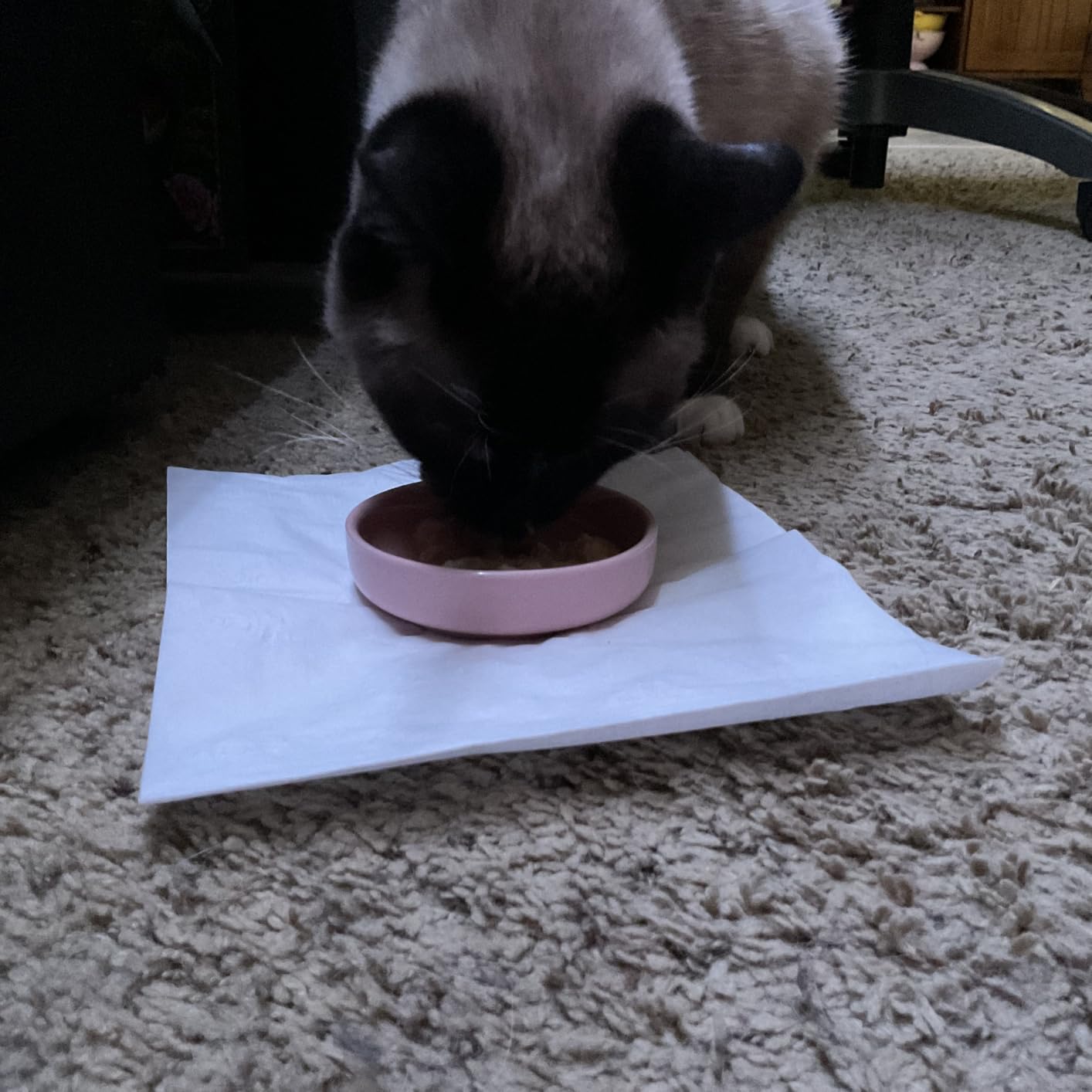 Colias Wing 3.5 Inch Japanese Style Classic Porcelain Side Dish Bowl Seasoning Dishes Soy Dipping Sauce Dishes - Set of 6 - Beige & White customer photo 1