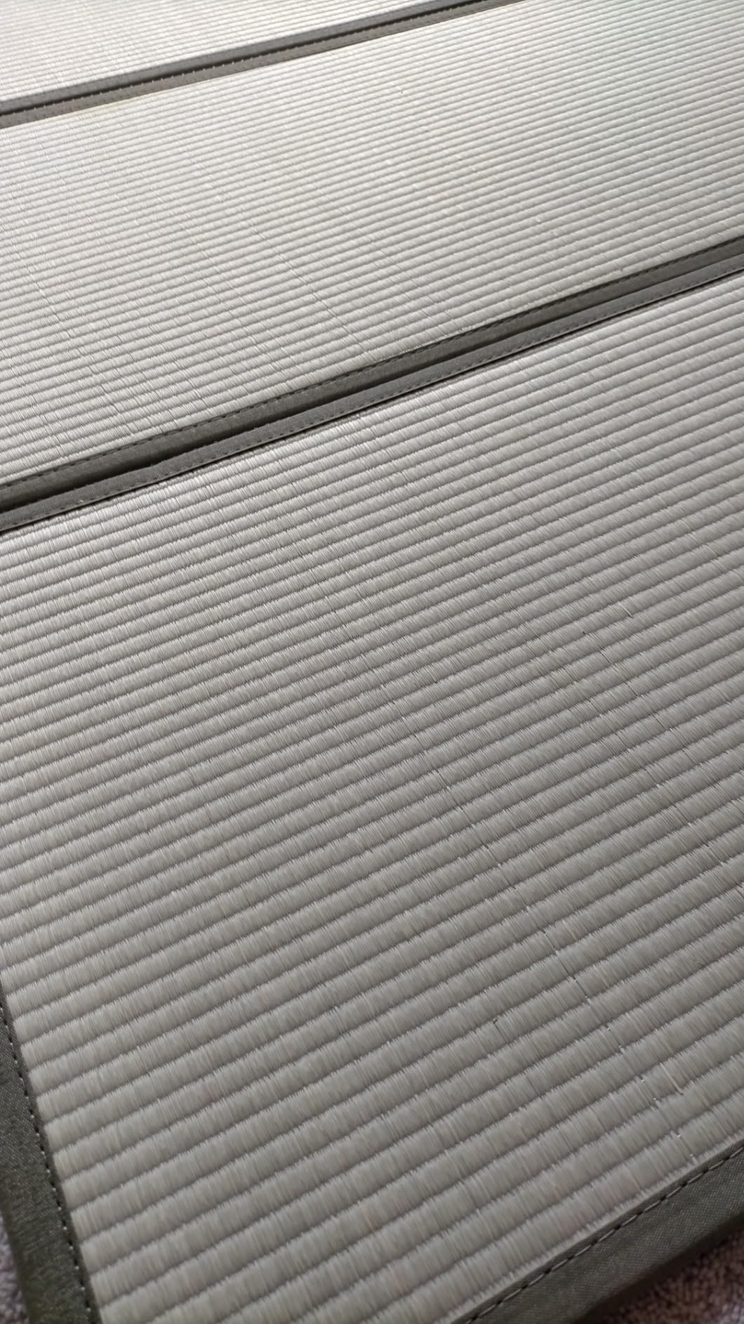 MIINA Japanese Traditional Tatami Mat, Igusa (Rush Grass) Floor Mattress, Futon, 55