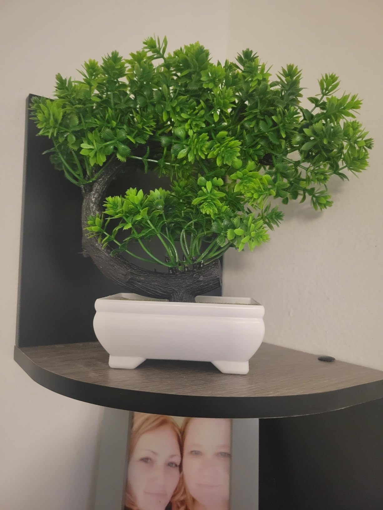 Fake Plants Small Artificial Bonsai Tree for Home Decor Living Room Bathroom Bookshelf Entryway Table Wall Shelf Modern Farmhouse Decor, 8.5
