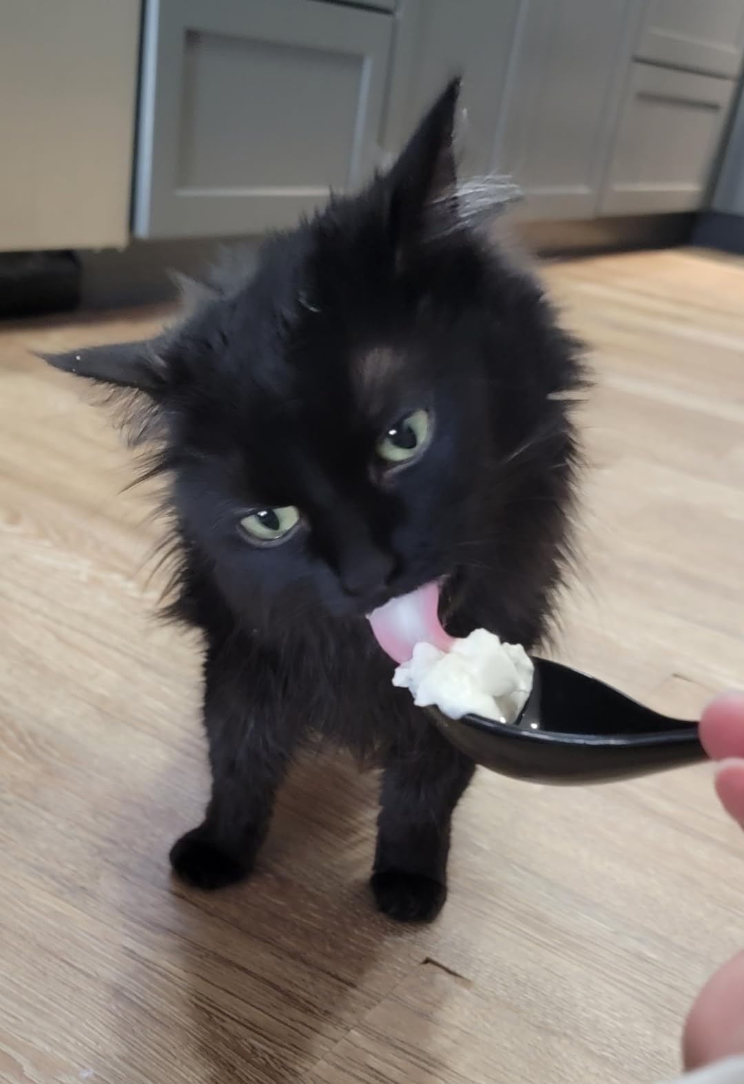 Artena Bright White 6.75 inch Asian Soup Spoons Set of 6, Ultra-fine Porcelain Tablespoon, Chinese/Japanese Kitchen Soup Spoons for Cereal, Ramen Pho - Deep Oval Hook Design customer photo 2
