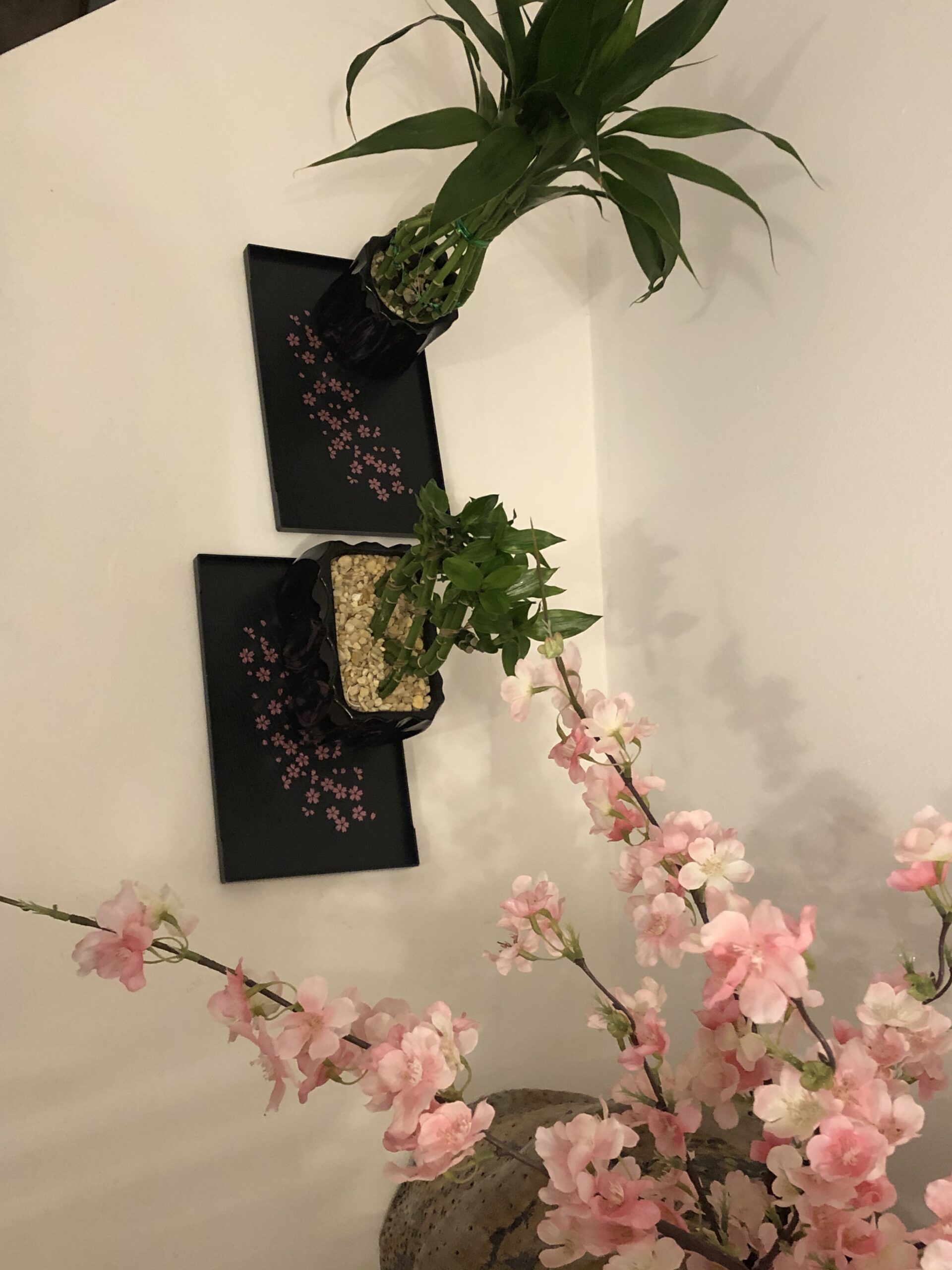 2pack Set, Cherry Blossom Pattern Small Tea Serving Tray, 10 x 6.3inches, Japanese Style, Made in Japan customer photo 1
