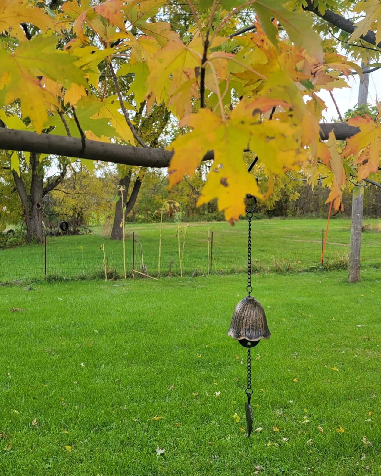 Japanese Traditional Lucky Small Wind Chimes for Outside, Iwachu Cast Iron Bless Temple Wind Bell Memorial and Sympathy Leaf Wind Chimes Indoor Garden Bell, Patio, Balcony (Maple Leaf) customer photo 1