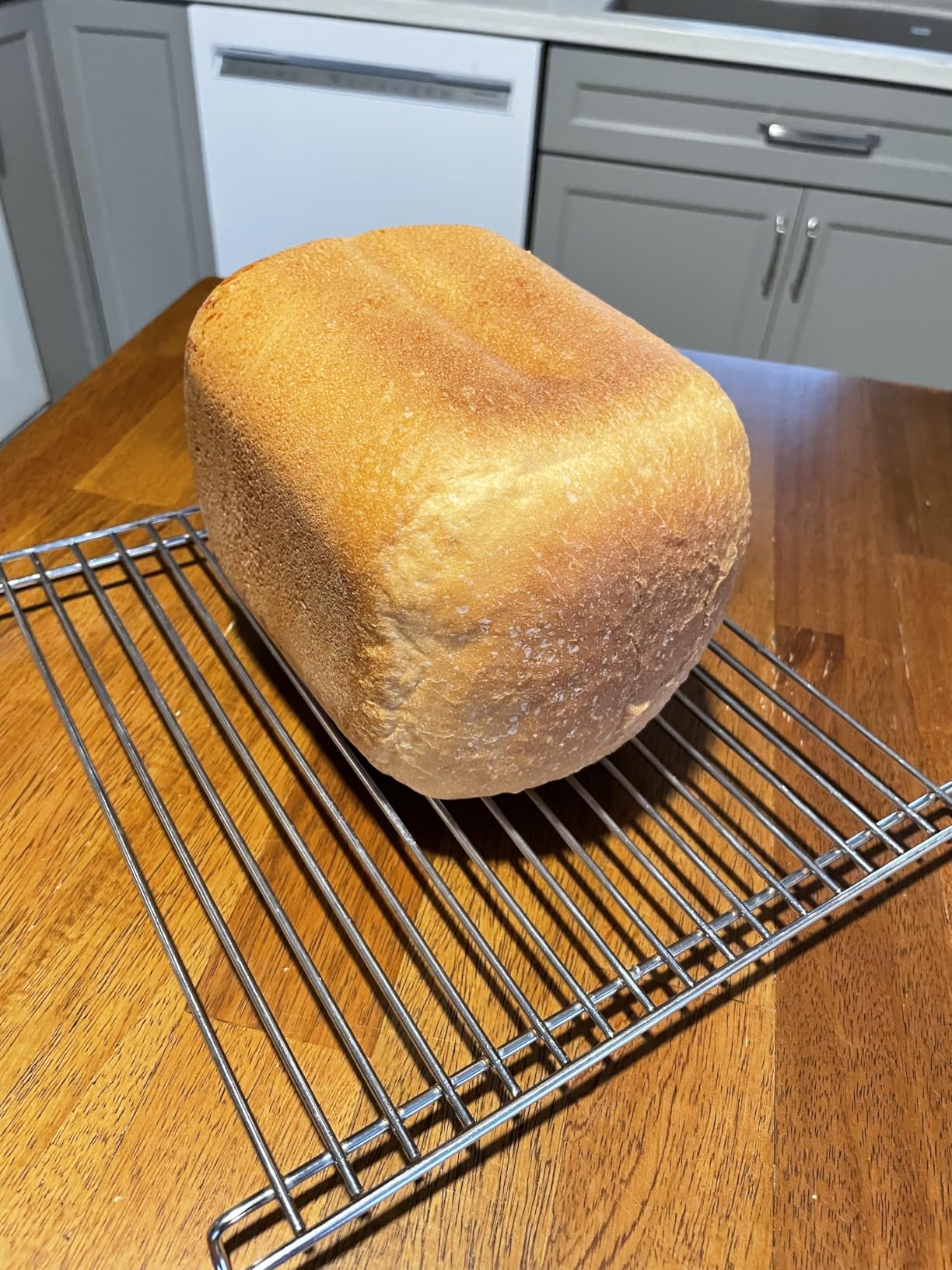 CUCKOO Bread Maker Machine with 15 Menu Options + 3 Crust Colors, 2 lbs Bread Machine with Automatic Fruit & Nut Dispenser, Includes 6 Accessories, Ideal Breadmaker for Sourdough (CBM-AAB101S) customer photo 1