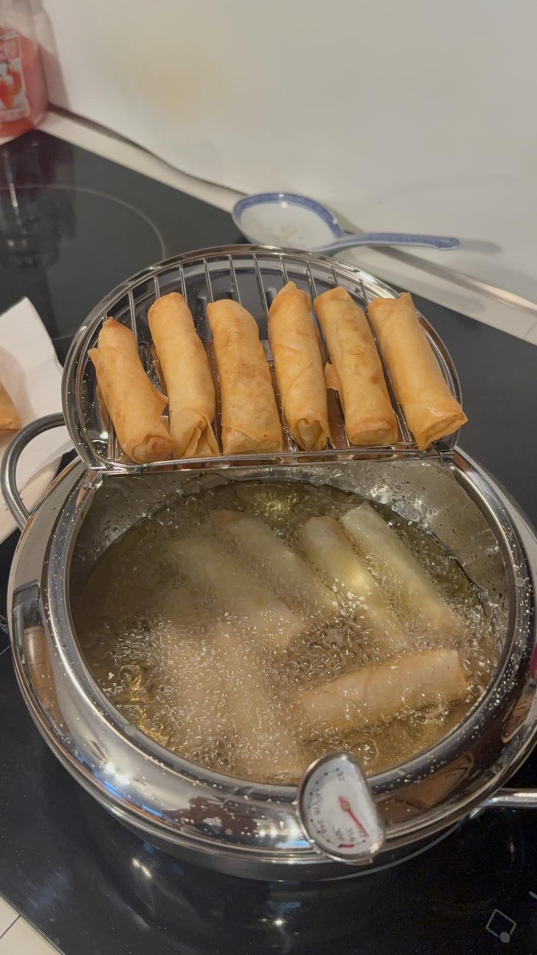 Deep Fryer Pot (°F), Japanese Tempura Small Deep Frying Pot with Fahrenheit Thermometer, 304 Stainless Steel Deep Fryer with Oil Draining Rack for Tempura chips, Fries, Fish, and Chicken customer photo 2