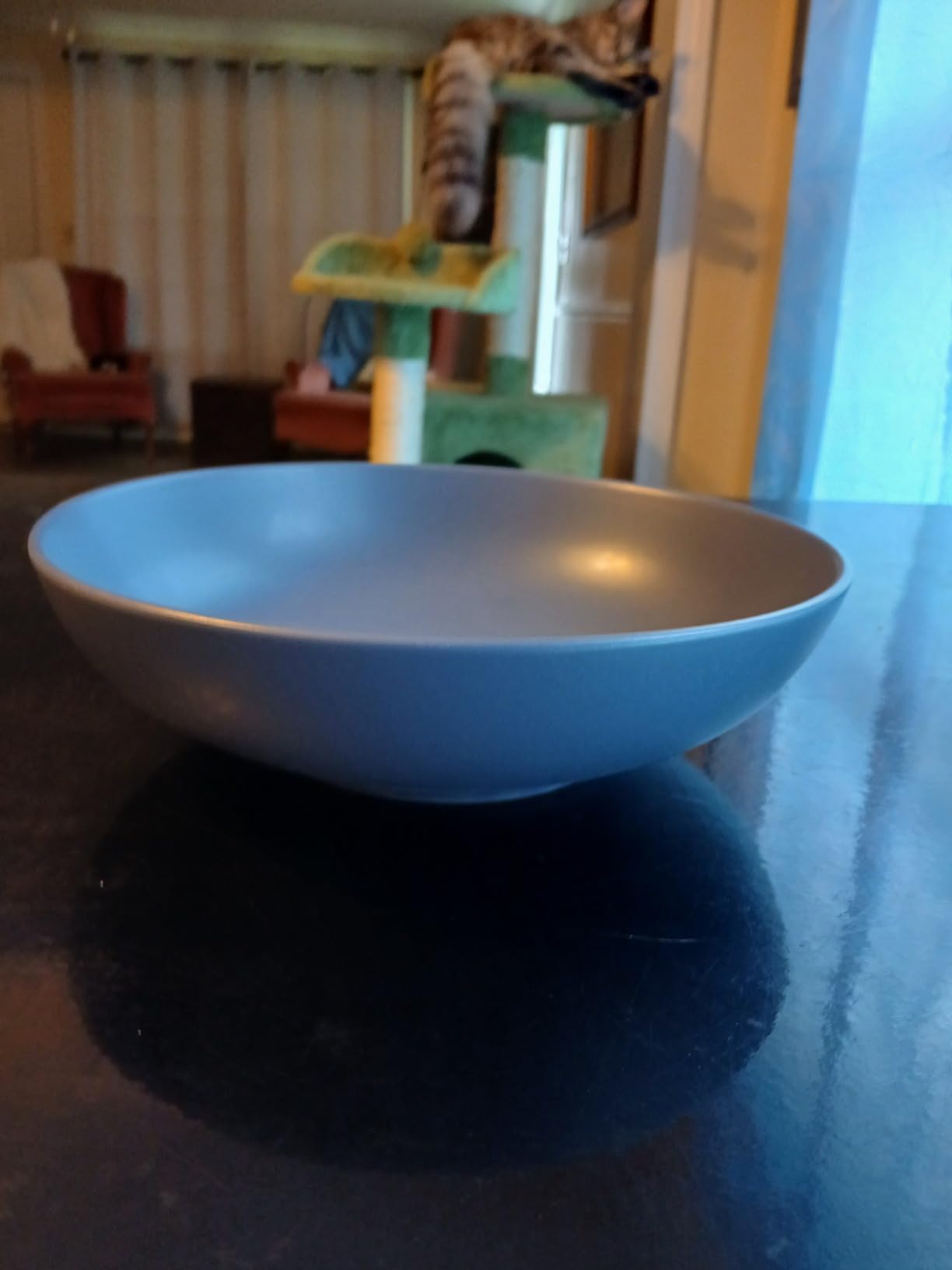AmorArc 8.75'' Large Pasta Bowls, 42 ounce Deep Stoneware Bowls Set of 4 for Kitchen, Wide Bowl for Pasta/Salad/Fruit/Oatmeal/Soup, Microwave&Dishwasher Safe-Matte Black customer photo 2