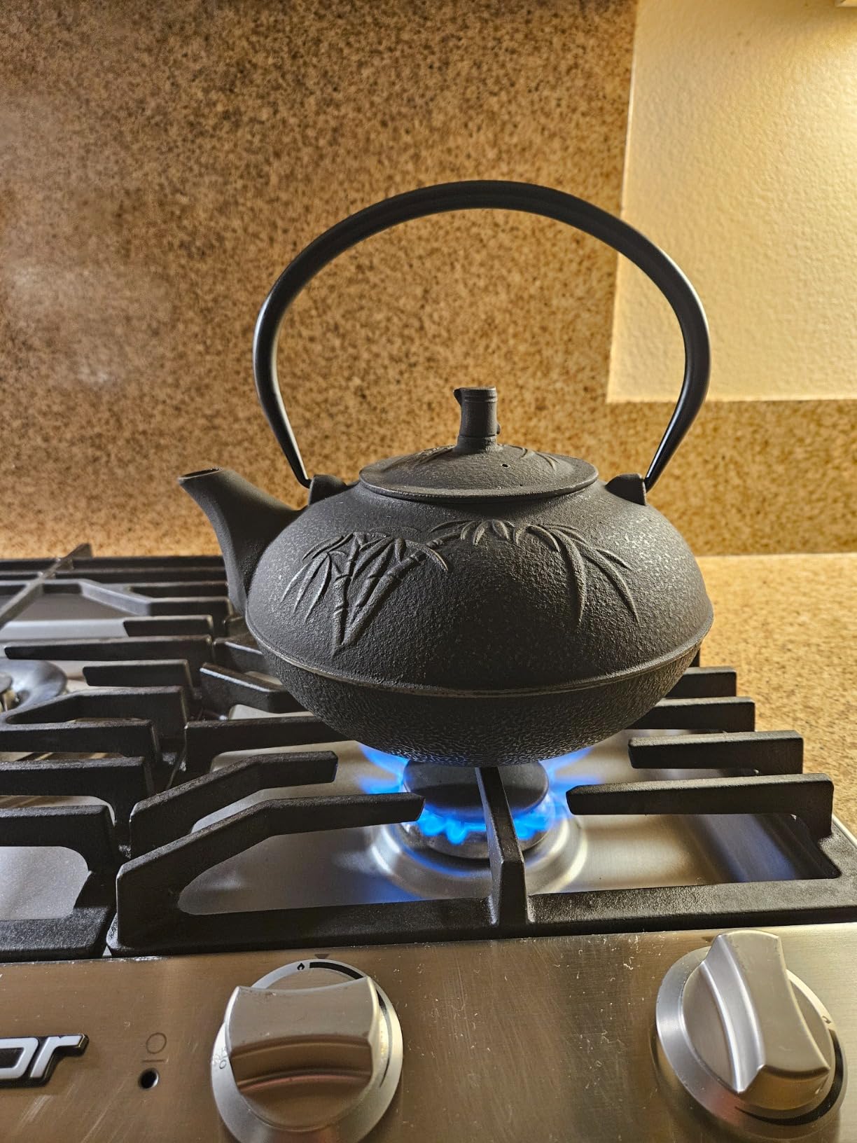 XXL Japanese Cast Iron Teapot with Infuser & Matching Trivet - Large 85 Oz/2500ml Tetsubin Loose Leaf Tea Pot with Enamel Interior - Handcrafted Big Cast Iron Tea Kettle Humidifier Set - Blue customer photo 1