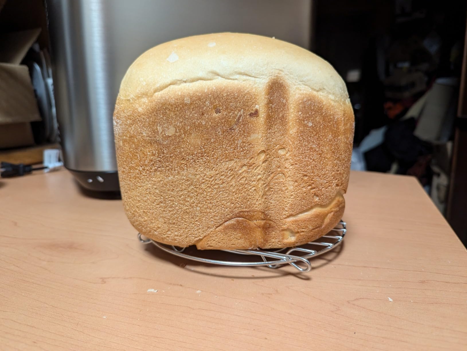 Panasonic Bread Machine, Automatic Bread Maker with 20 Presets and Advanced Temperature Sensor for Bread, Cake, and Pizza, Gluten Free Baking, Raisin Nut Dispenser - SD-R2550 customer photo 1