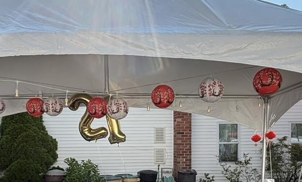 Mototo 60-Pieces Chinese Japanese Paper Lantern Kit, 12 Inches Cherry Blossom Japanese Chinese Paper Lantern with Red Cherry Flower for Spring Festival New Year Hibachi World Theme Birthday Party customer photo 1