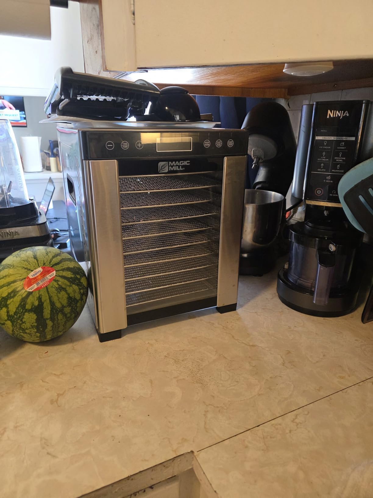 Magic Mill Pro Food Dehydrator Machine | Powerful 600W Rear Fan Even-Drying System | 7 Full-Size Stainless Steel Trays | 95°-176° Temperature Control, 48H Timer, Keep Warm + Auto Shutoff | ETL Listed customer photo 1
