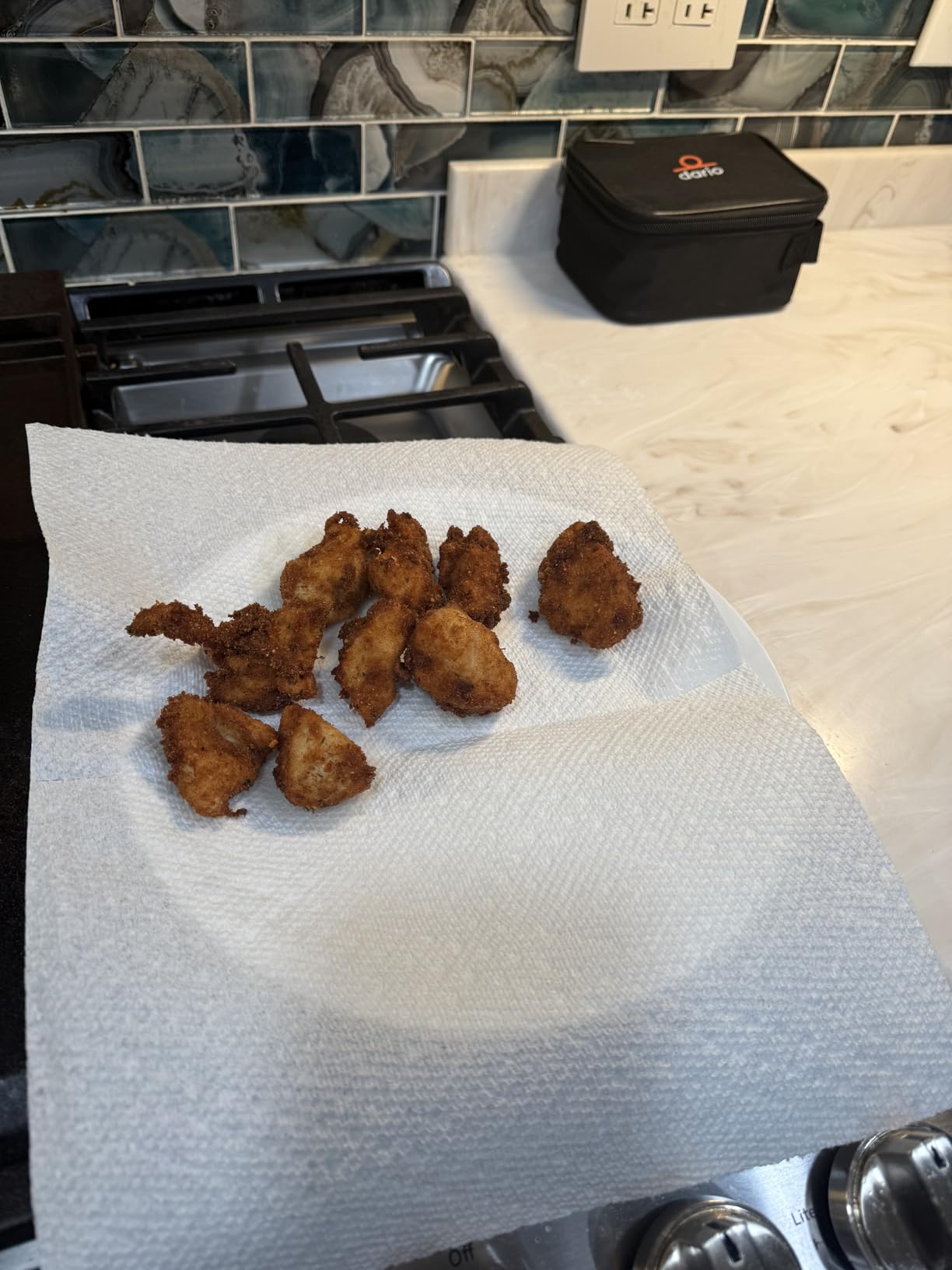 Saltlas Deep Fryer Pot (°F), 11