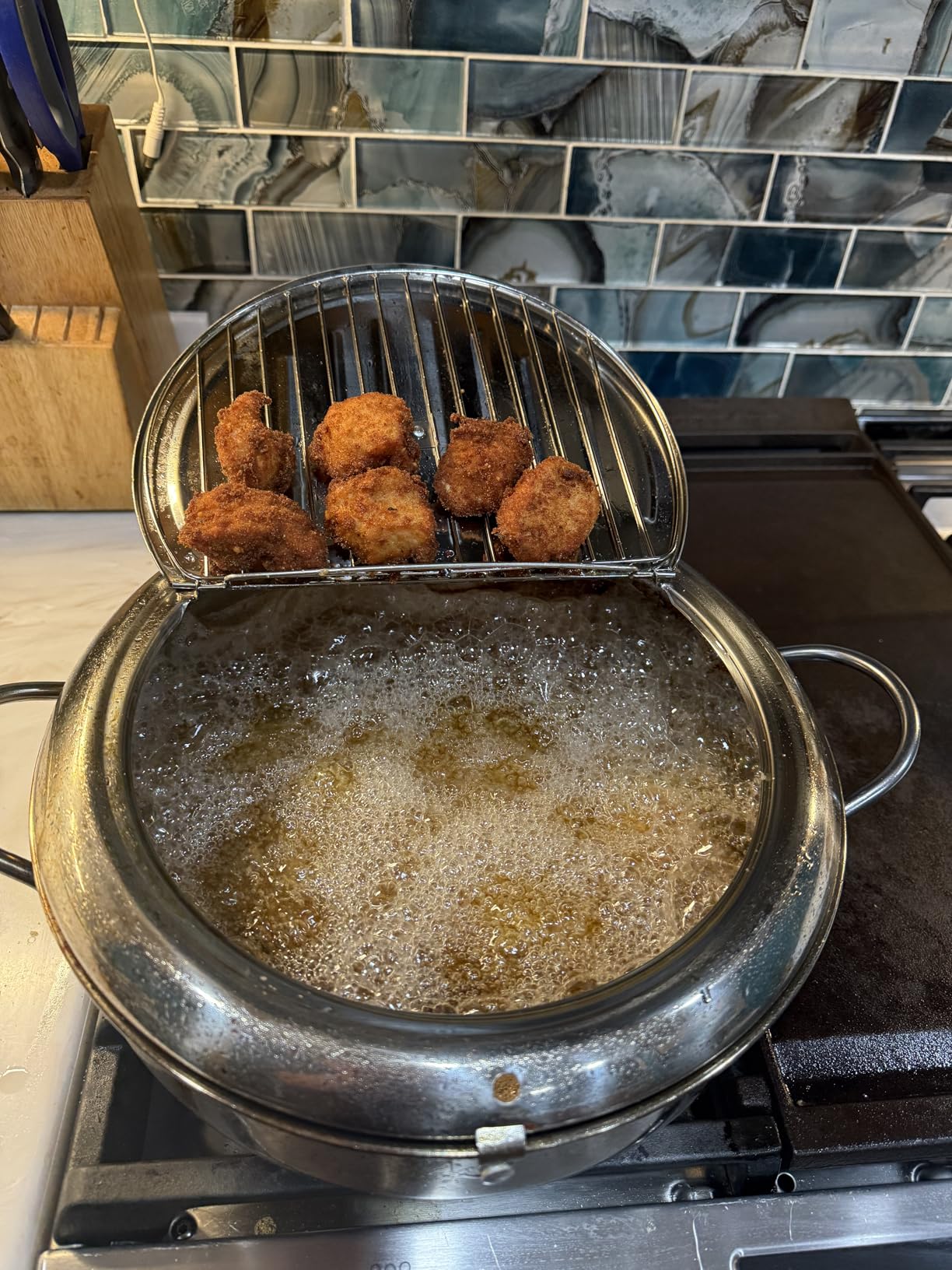 Saltlas Deep Fryer Pot (°F), 11