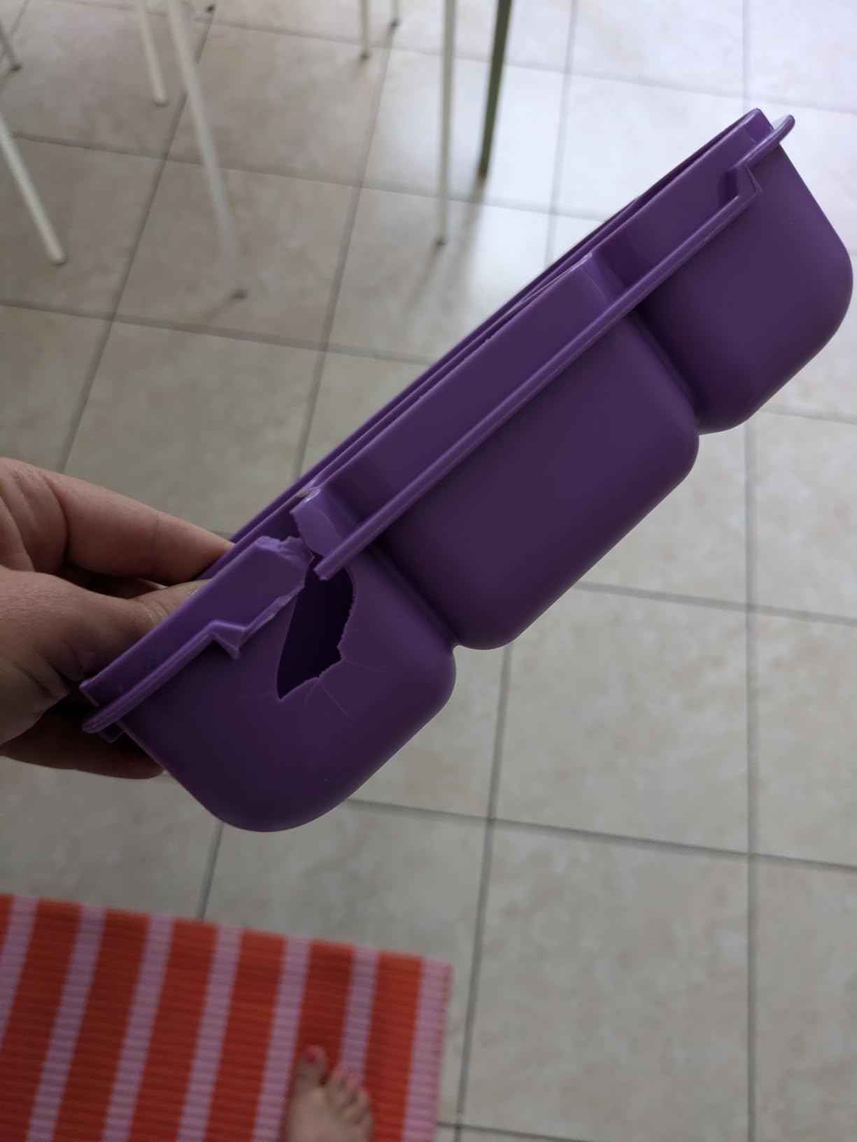 QQKO Bento Lunch Box for Kids Girls Boys, Toddler Kids Lunch Boxes for School, Lunch Containers for Adults with 4 Compartments, Sauce Container, Utensils, Food Picks and Muffin Cups, Purple customer photo 1
