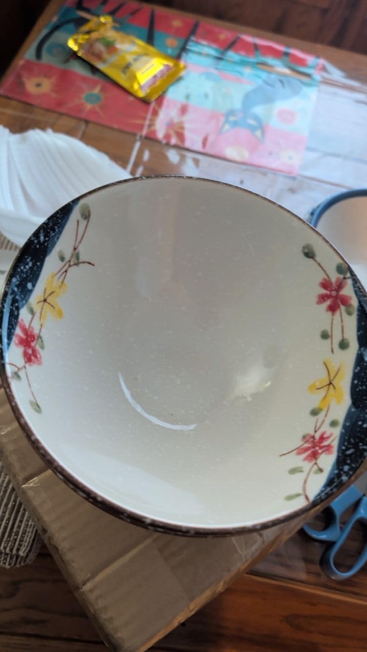 8-inch Ceramic Ramen Bowls with Fish Design, Japanese Style Soup Ramen Noodle Bowls, Set of 2, Dishwasher & Microwave Safe customer photo 1