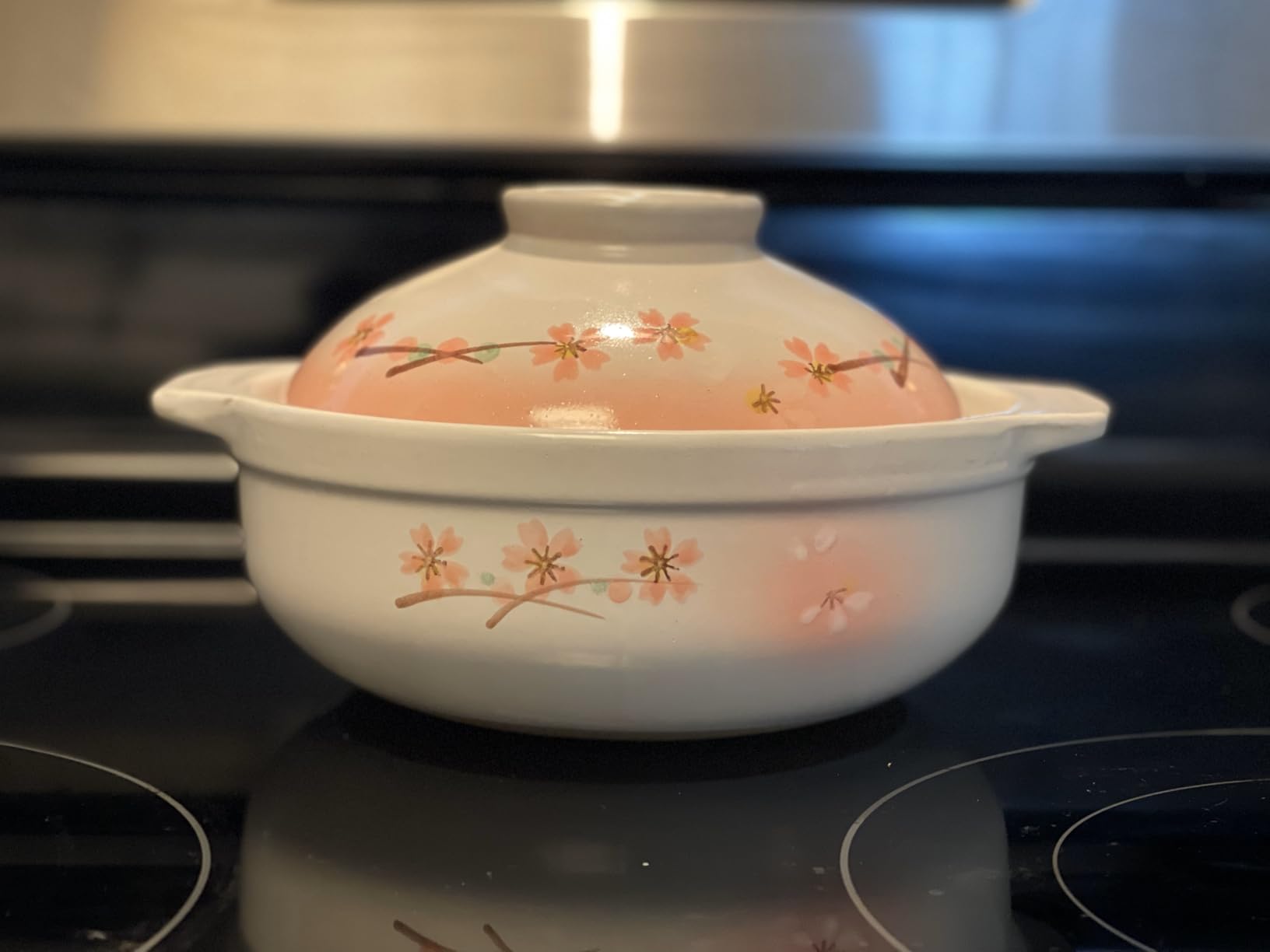 Clay Pot for Cooking Japanese Donabe Hot Pot Casserole Korean Earthenware Pot with Lid, Serving 3-4 People, 9.25 inch customer photo 1