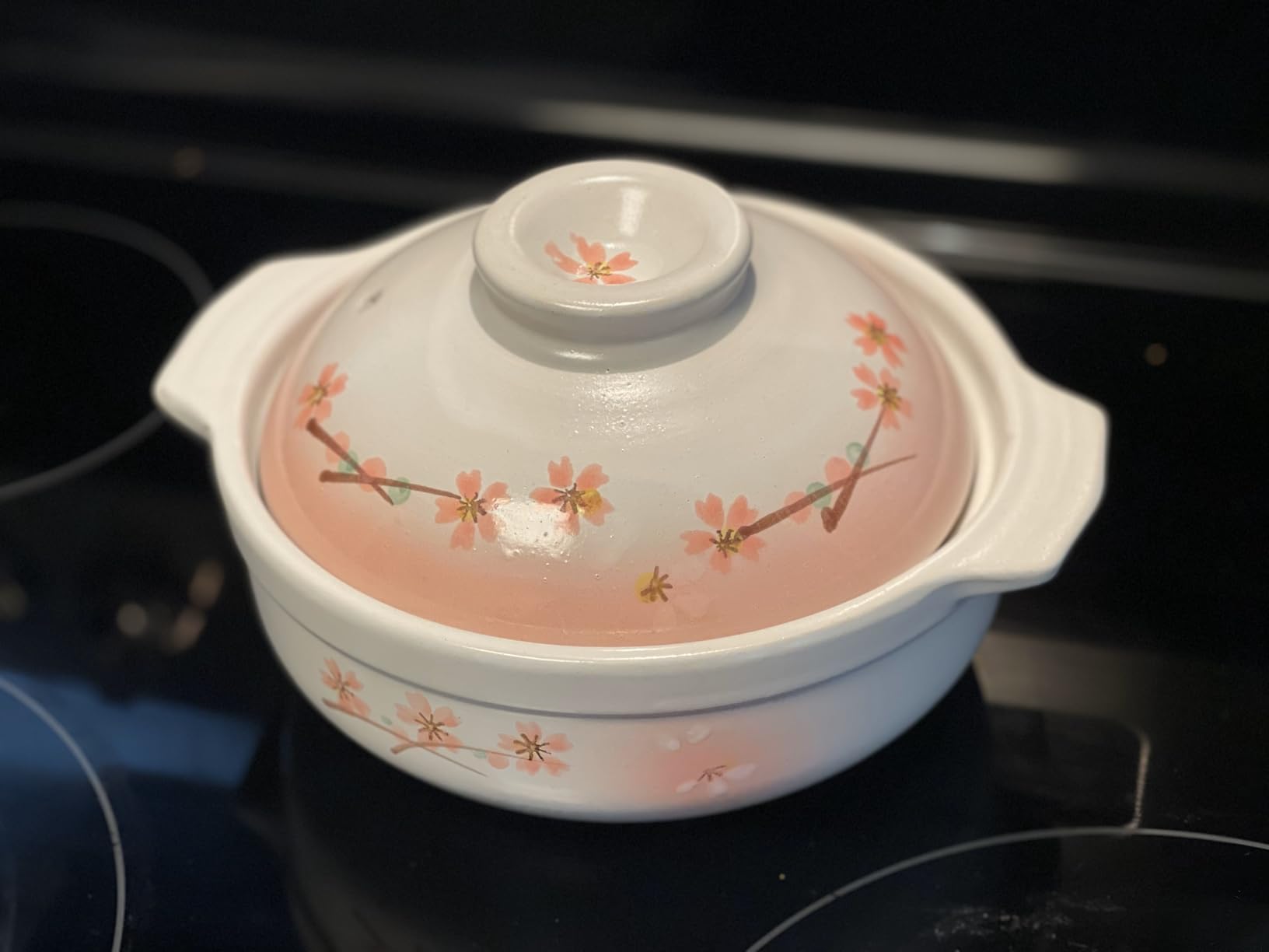 JapanBargain, Clay Pot for Cooking Japanese Donabe Hot Pot Casserole Korean Earthenware Pot with Lid, Serving 3-4 People, 9.25 inch customer photo 2