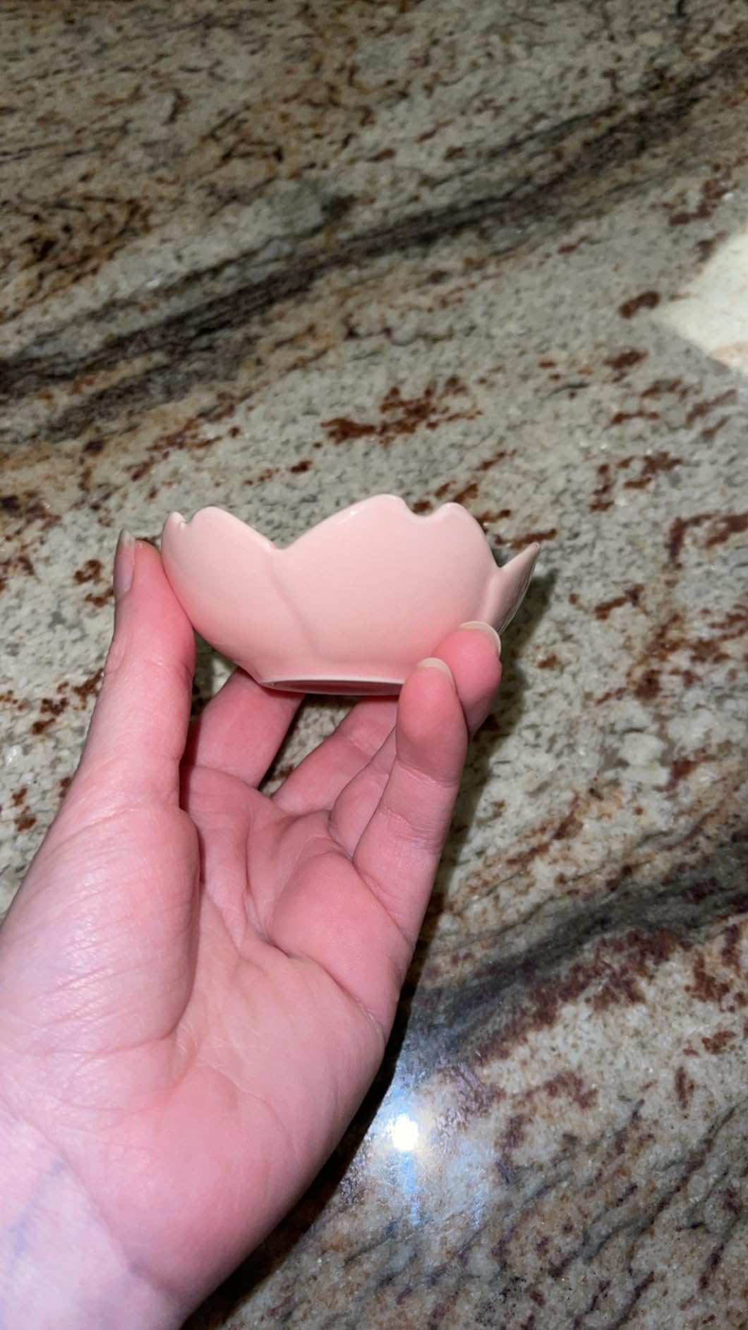 WHJY White Cherry Blossom Dish Set, Cute Pink Ceramic Plates, Sauce/Seasoning Dish, Sushi Dishes, Soy Dipping Bowl, Dessert, Appetizer Plates, Serving Dish for Kitchen Home - Set of 5 customer photo 2