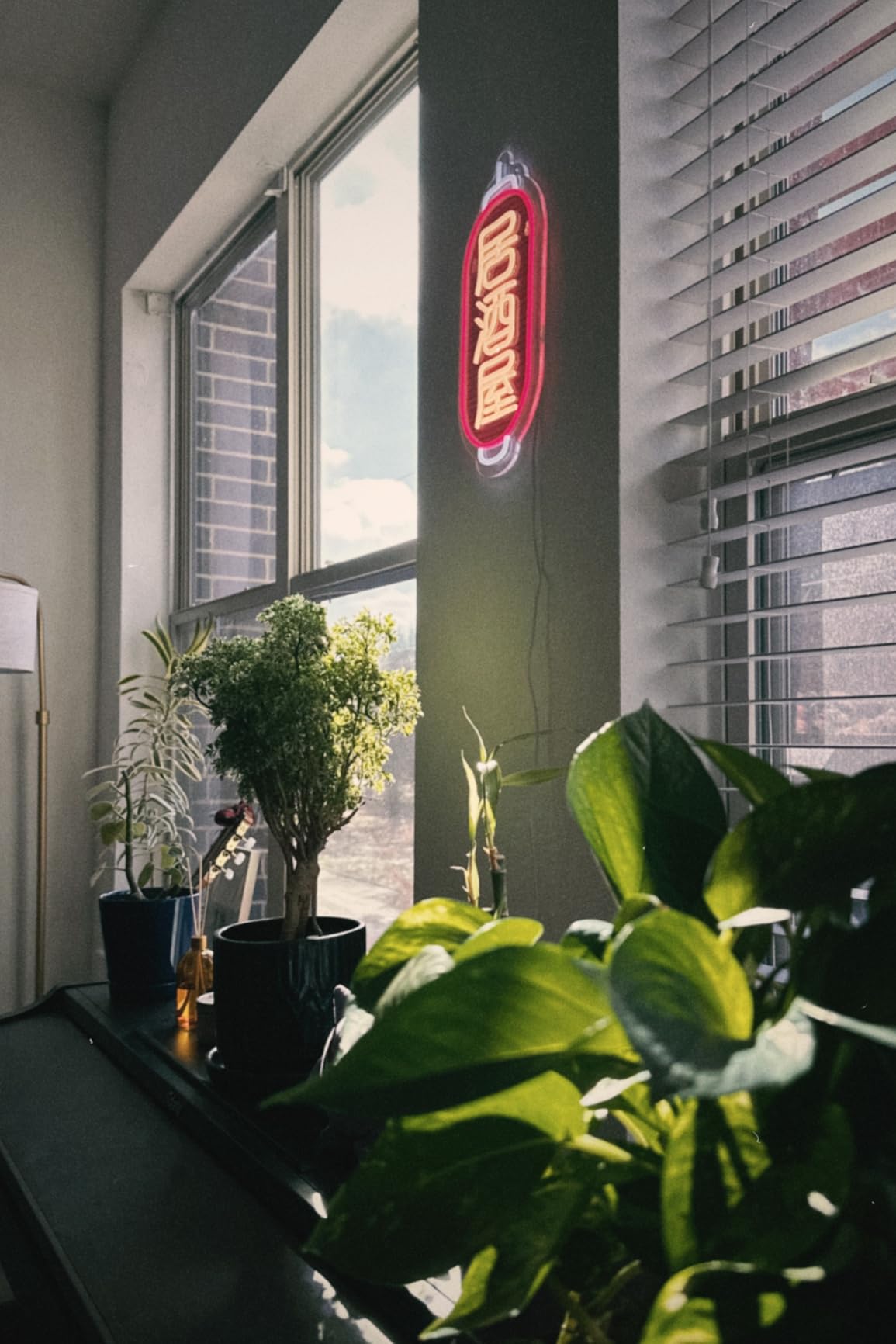 Japanese Sake Neon Sign LED Neon Light for Business Wall Decor with Dimmable Switch for Wine Bar Club Party Restaurant お酒 Japanese Style USB Powered 13.8