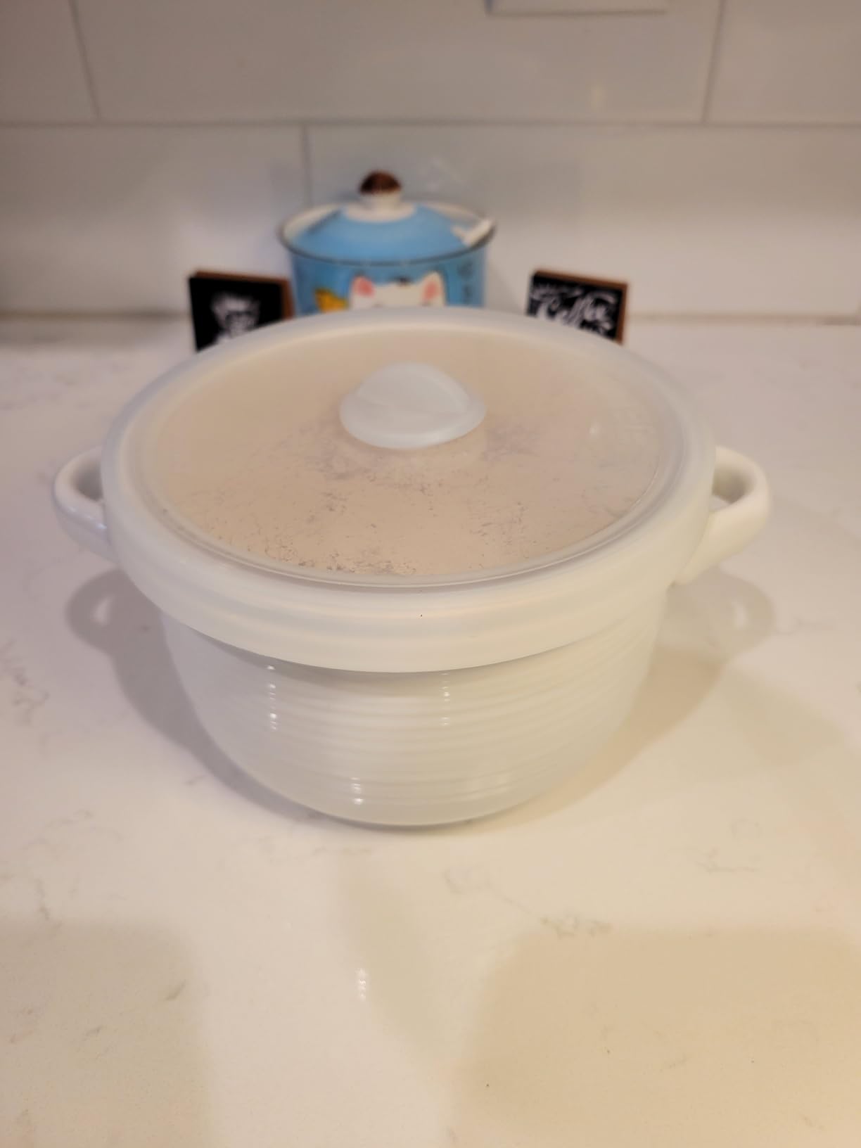 LE TAUCI Soup Bowls with Handles and Silicone Lids, 28 oz Ceramic Ramen Bowl Microwavable, Oven Safe French Onion Soup Bowls for Noodles and Cereal, Lead & Cadmium Free Soup Crocks, Set of 2, White customer photo 1