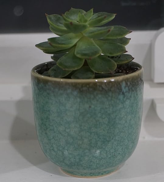 Japanese Saki Set Ceramic Sake Cups Set of 6, Handcrafted Ceramic Tea Cups with Blue and Gray Reactive Glaze, Traditional Small Cups for Hot or Cold Sake, Thoughtful Housewarming Choice customer photo 2