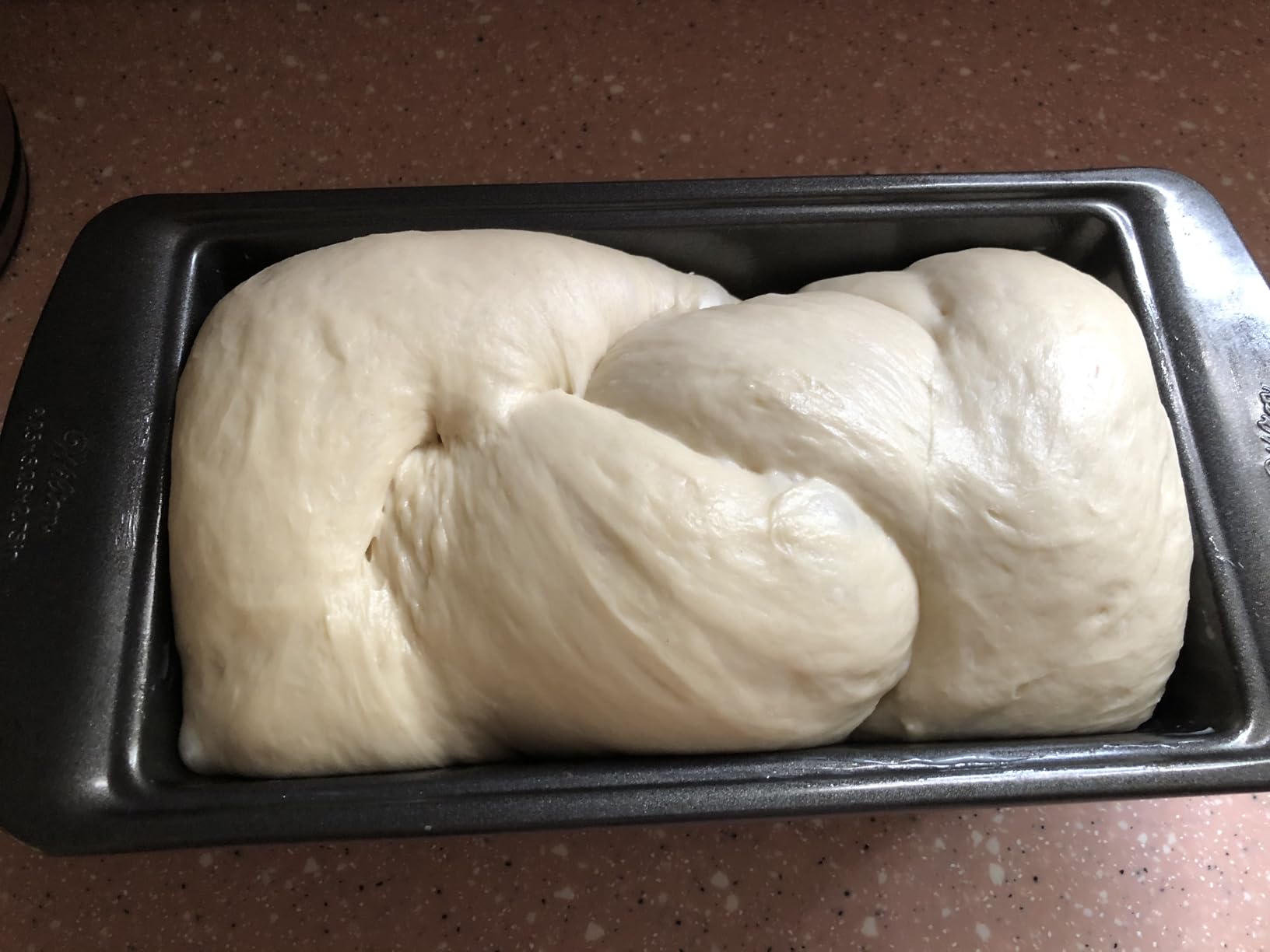 AIZIYO DoughChief, 5.3QT Dough Mixer, Dough Maker with Ferment Function, Touch Panel Control, 304 Stainless Steel Bowl, Removeable lid, Dough Proofing Box for Pizza, Bread, Pasta & Mochi customer photo 1