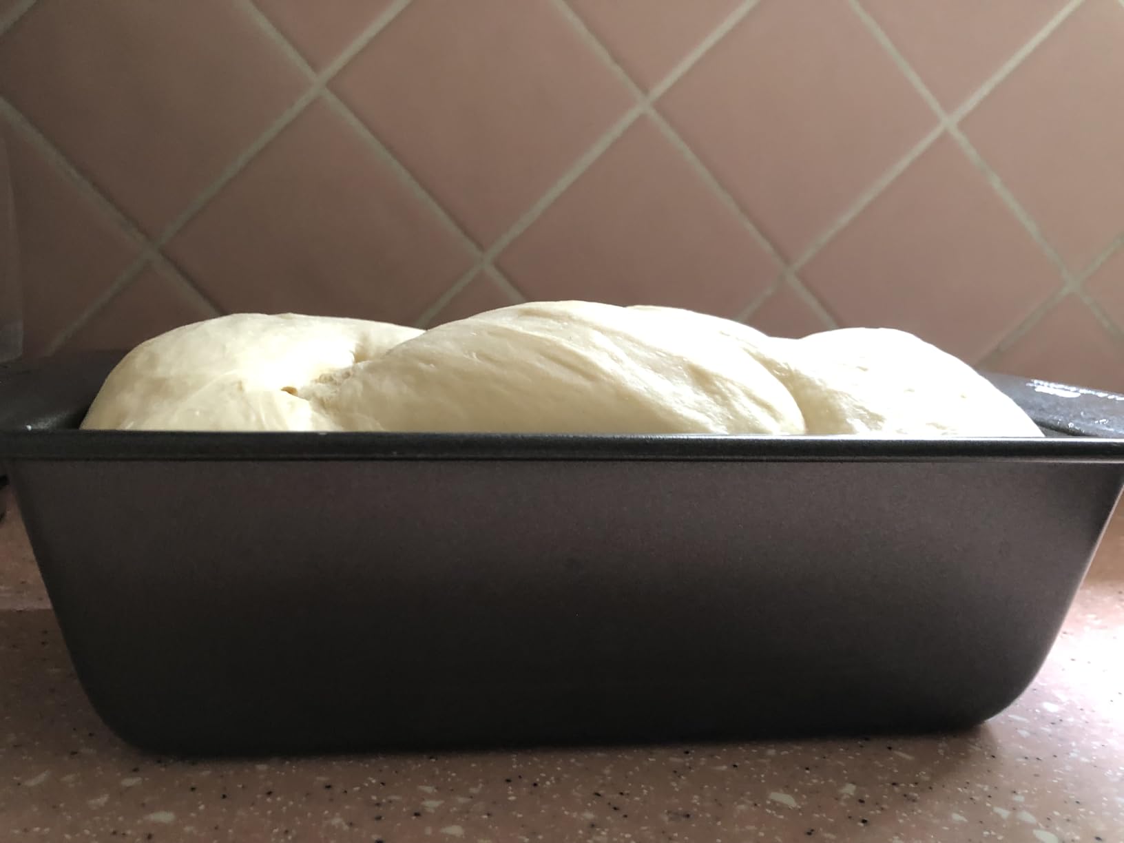 AIZIYO DoughChief, 5.3QT Dough Mixer, Dough Maker with Ferment Function, Touch Panel Control, 304 Stainless Steel Bowl, Removeable lid, Dough Proofing Box for Pizza, Bread, Pasta & Mochi customer photo 2