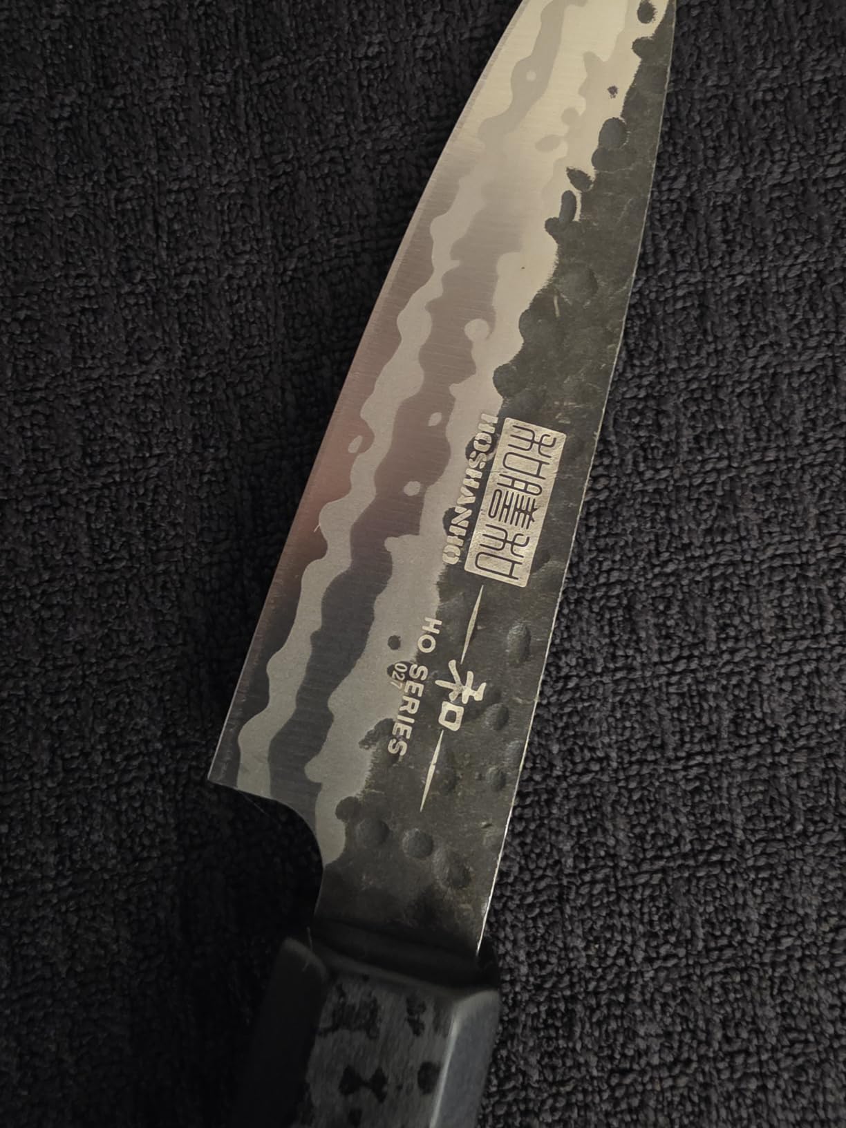 HOSHANHO 8 Inch Japanese Gyuto Chef Knife, 9 Layers 10Cr15CoMoV High Carbon Steel Kitchen Knife, Professional Hand Forged Cooking Knife with Ergonomic Rosewood Handle customer photo 1