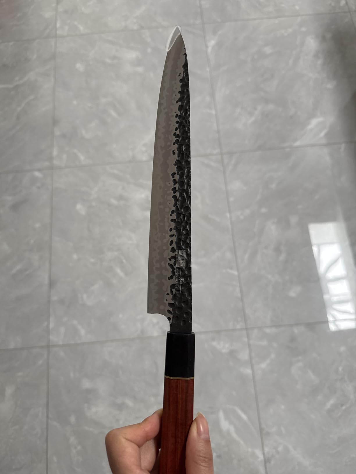 HOSHANHO Sushi Knife Japanese Sashimi Knives 10 Inch, Hand Forged High Carbon Steel Yanagiba Knife, Kitchen Chef Knives for Cutting Sushi & Sashimi, Fish Filleting customer photo 1