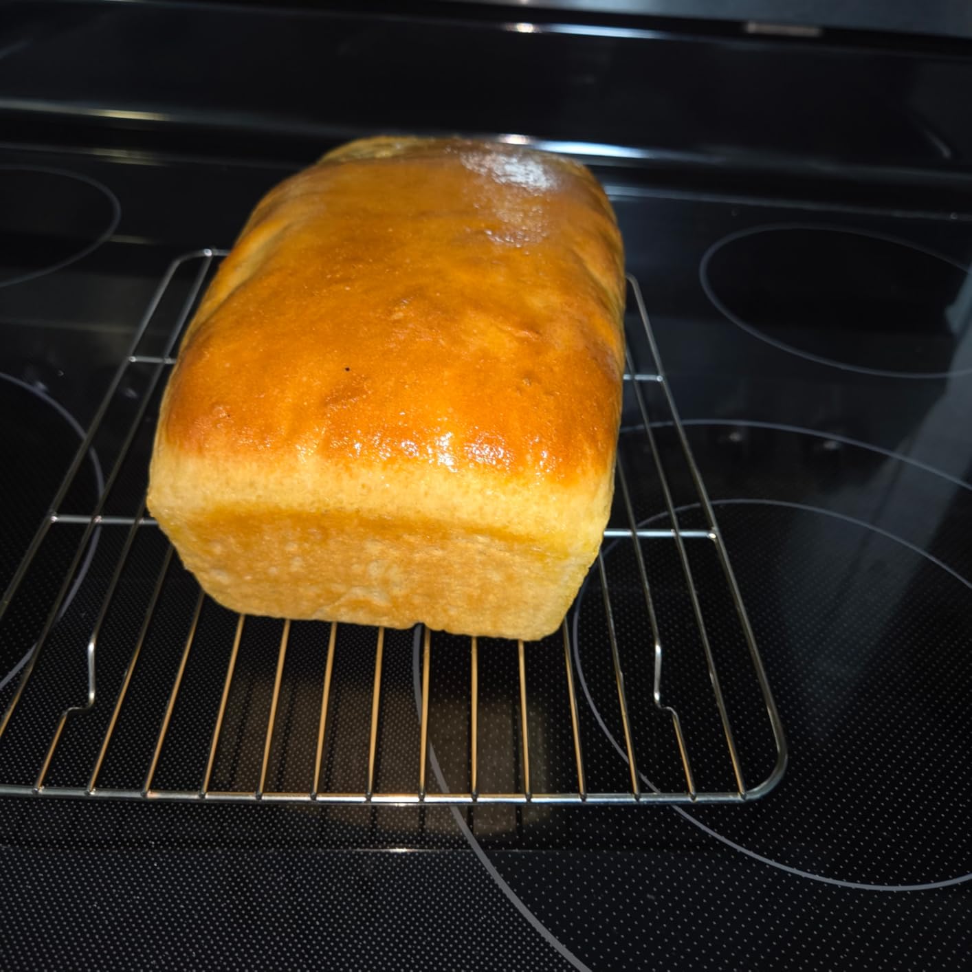 Joydeem Electric Dough Maker with Ferment Function, 5.3Qt Dough Mixer Machine, Perfect for Bread Pizza Roti Dumpling Dough & Sourdough, HMJ-A501 customer photo 2