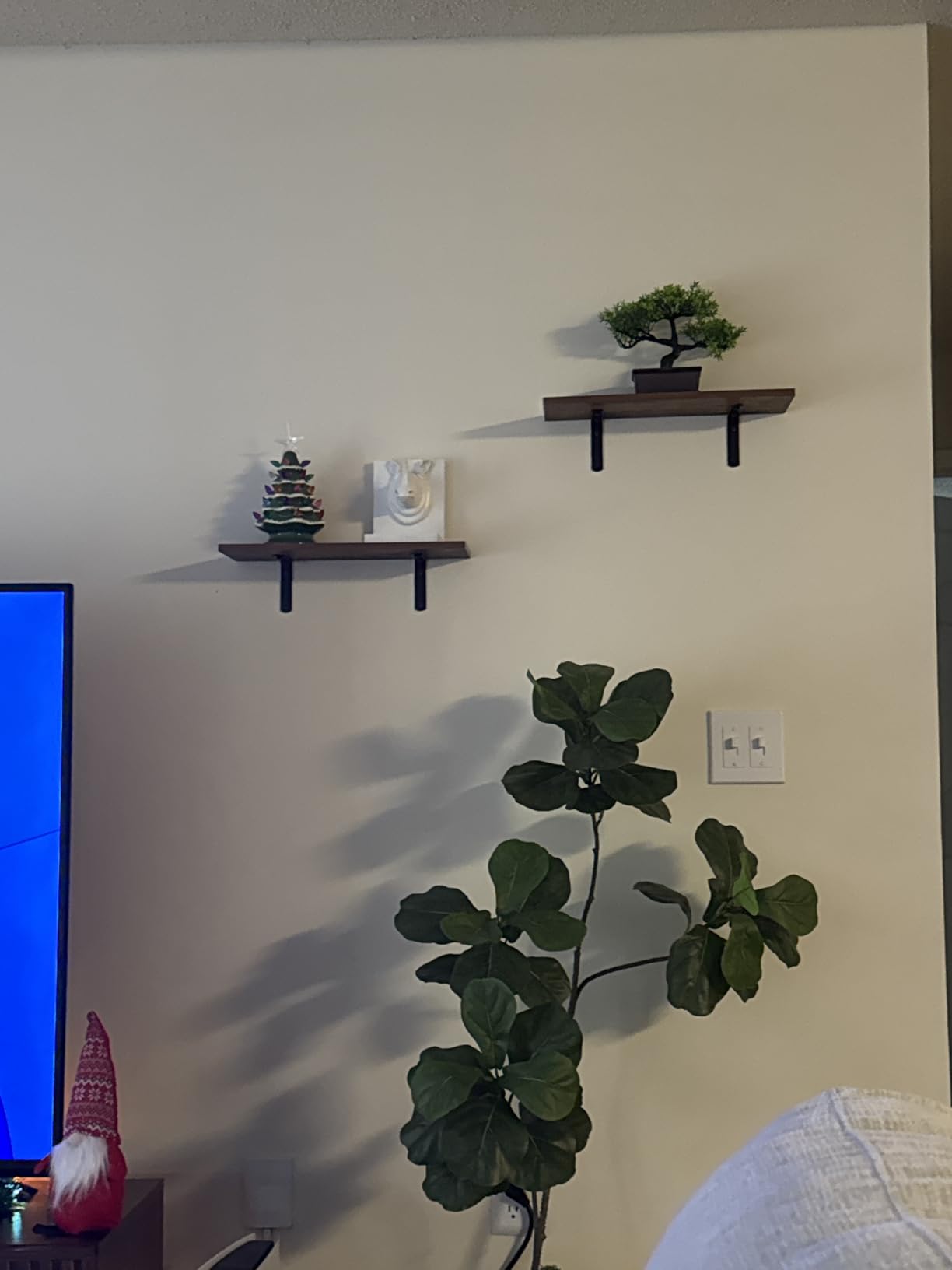 Der Rose 8 Inch Fake Plants Artificial Bonsai Tree Ficus for Home Office Desk Table Shelf Japanese Zen Decor Indoor customer photo 1
