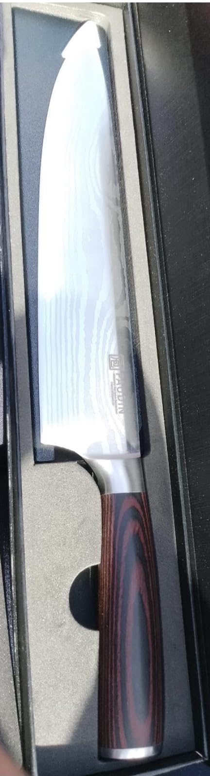 PAUDIN Chef Knife, 10 Inch Meat Knife, Ultra Sharp Brisket Slicing Knives, High Carbon Stainless Steel Kitchen Knife with Ergonomic Handle for BBQ, Roast, Meats and Vegetables customer photo 2