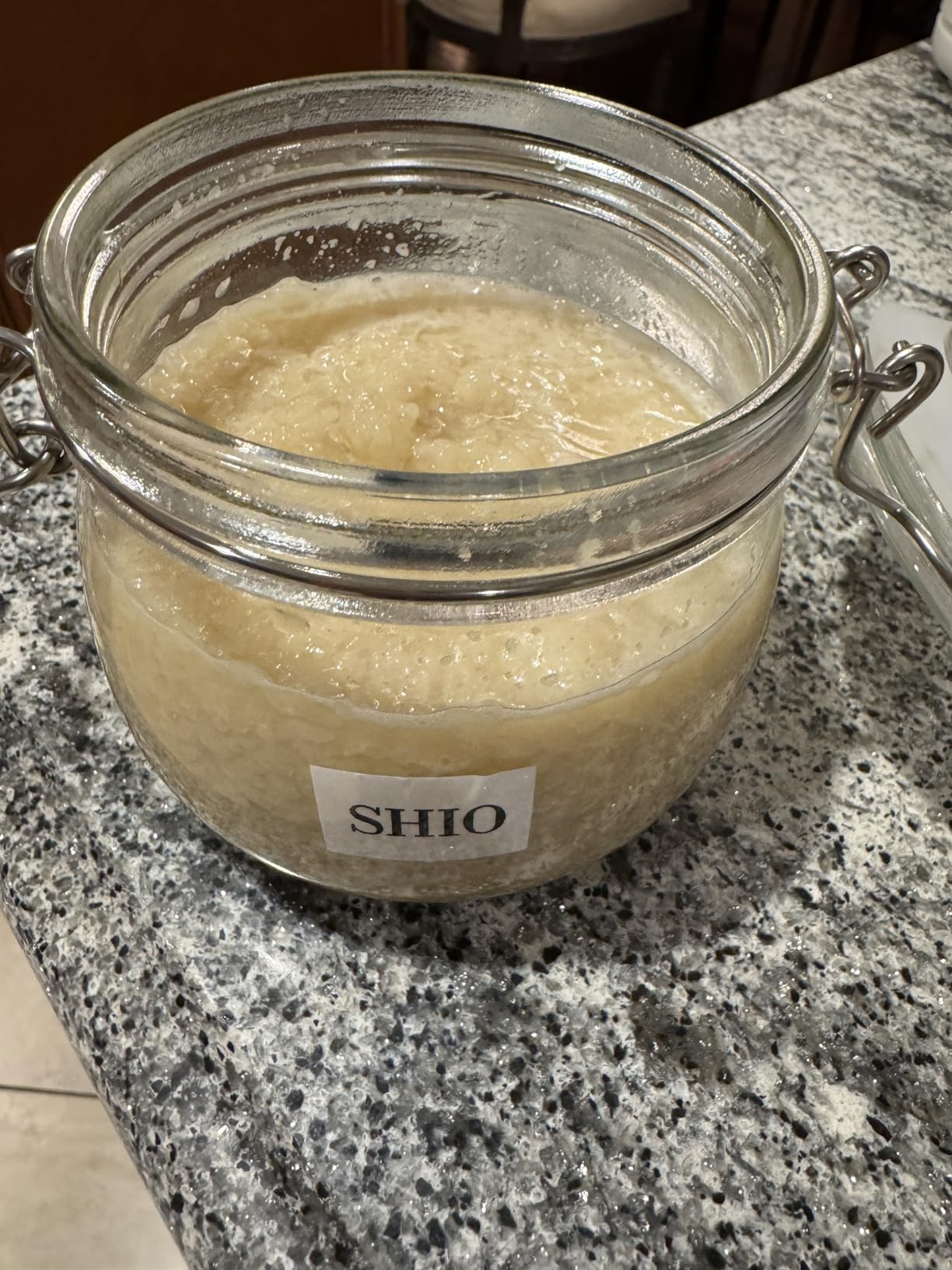 [TANICA] YOGURTiA Yogurt Maker & Fermented Food Machine - Precise Temperature Control (1°F/1°C Increments) for Consistent Results, 77-158°F (25-70°C), 100-240V, Made in Japan, 2 Glass Pots, Timer customer photo 1