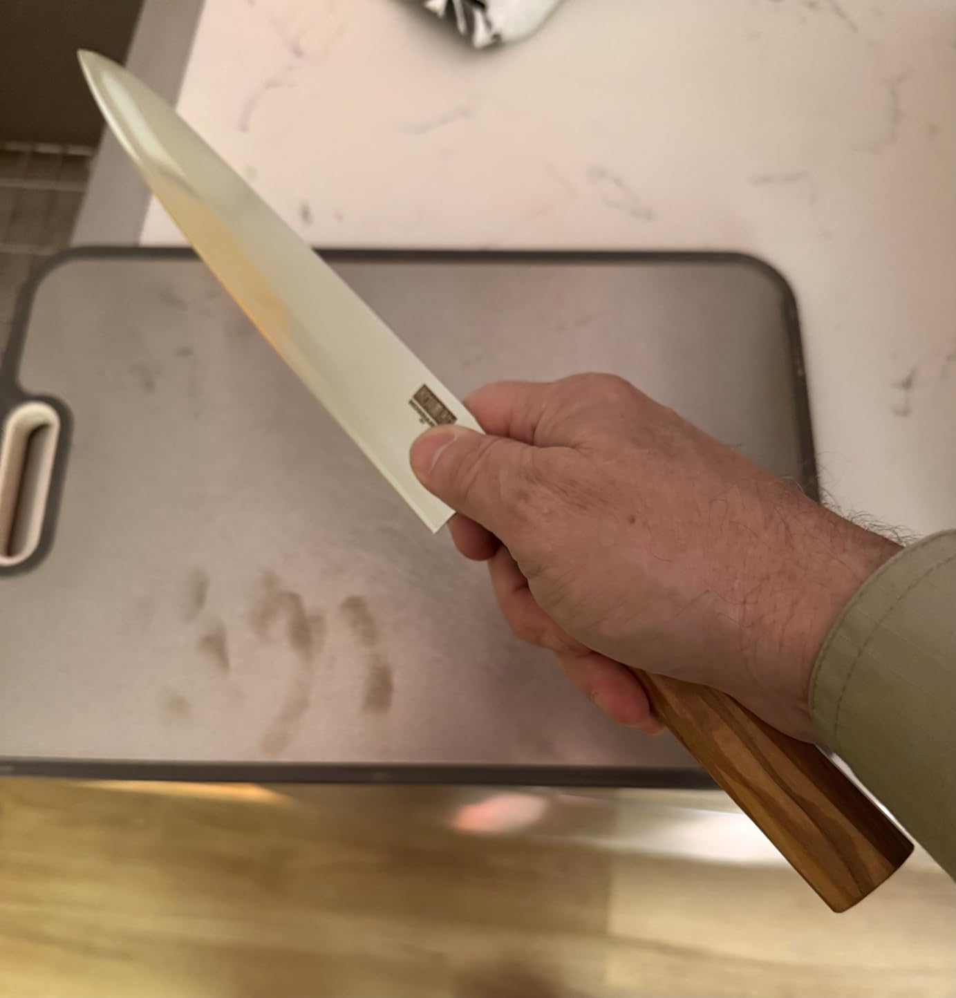 HOSHANHO Sushi Knife 10 Inch, Japanese High Carbon Steel Sashimi Knife, Ultra Sharp Yanagiba Knives, Kitchen Knives for Fish Filleting with Olive Wood Handle customer photo 1